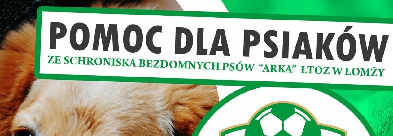 Pomoc Dla Psiak W Ze Schroniska Arka W Om Y Zrzutka Pl