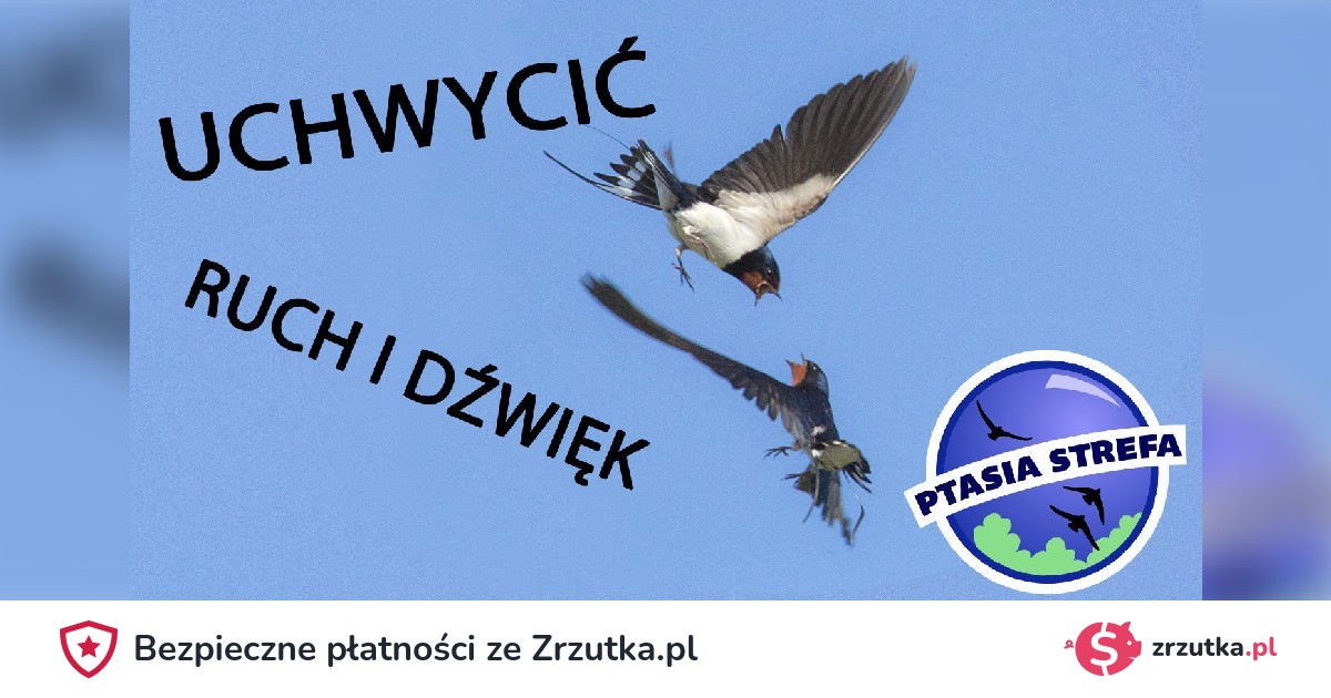 Zrzutka: UCHWYCIĆ RUCH I DŹWIĘK | Jakub Typiak