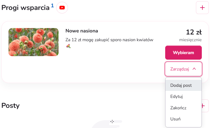 Widok progów wsparcia na stronie zrzutki – prezentacja poziomów dla darczyńców