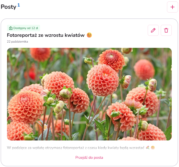 Posty w progach wsparcia – tworzenie ekskluzywnych treści dostępnych tylko dla wspierających