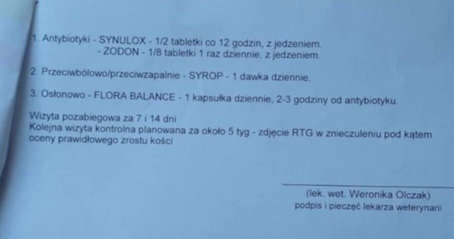 8JJ3dELYBbIDkaFD.jpg