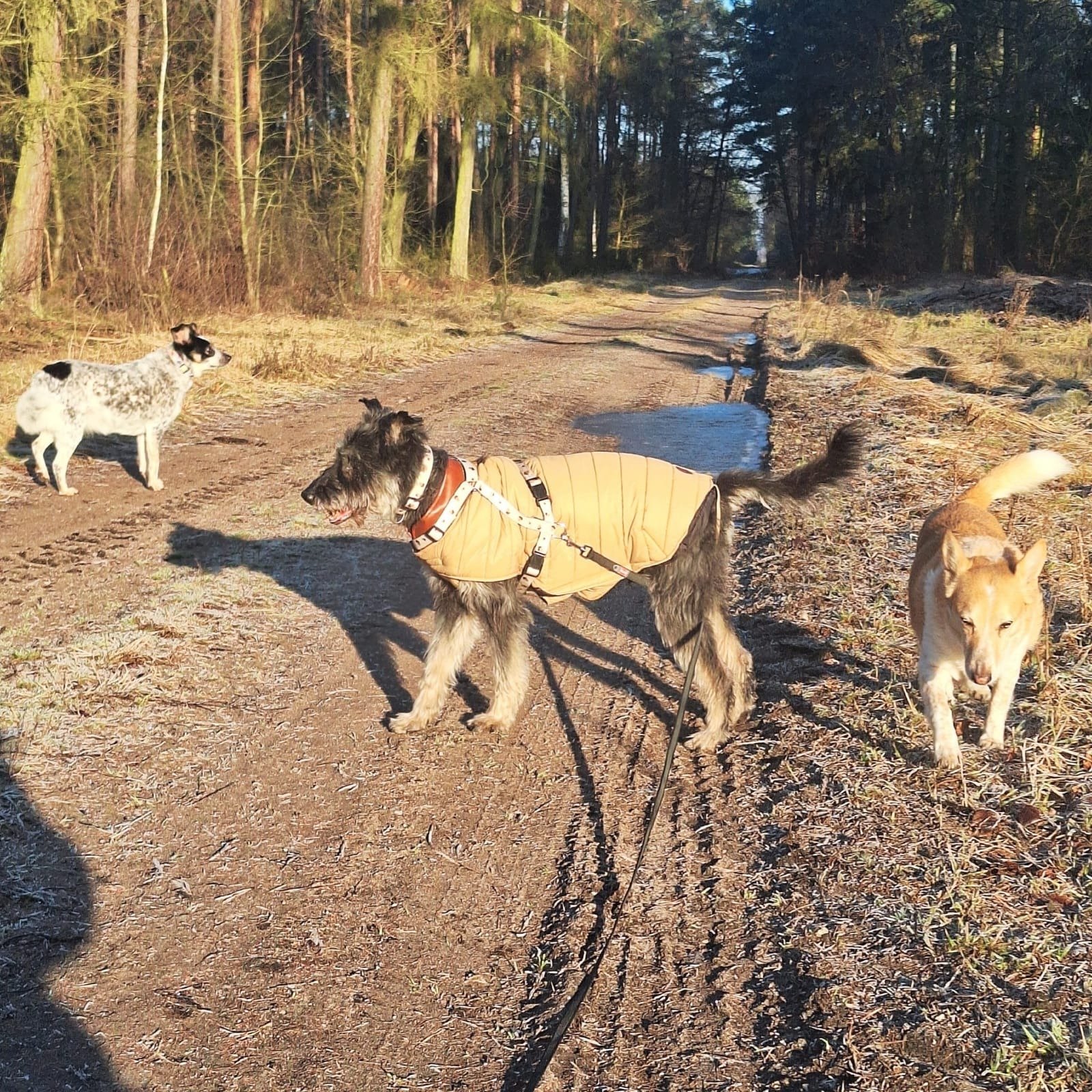 YxCI28BZoi7R5yqQ.jpg