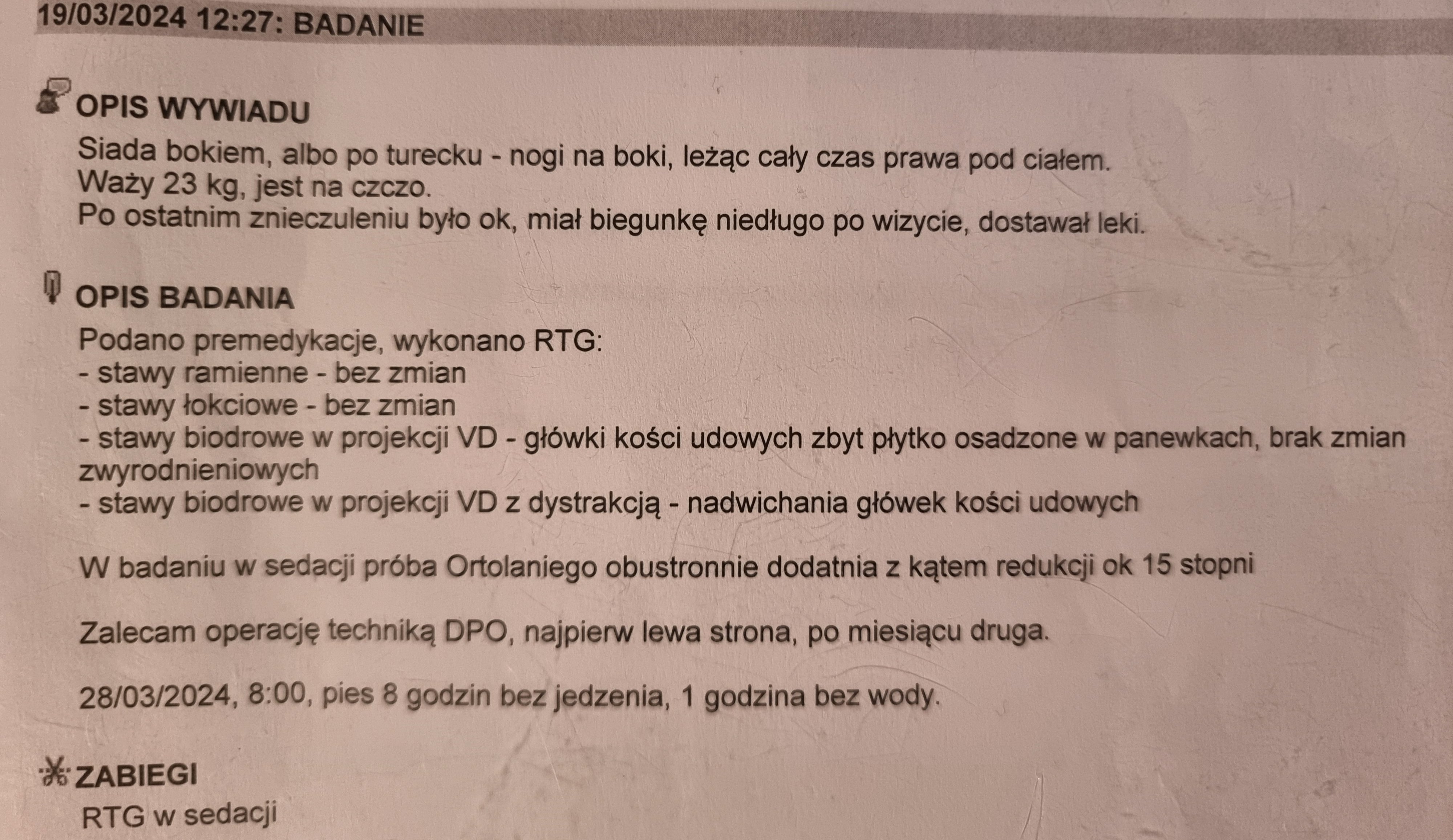 zNBoHNgJEio0i4ez.jpg
