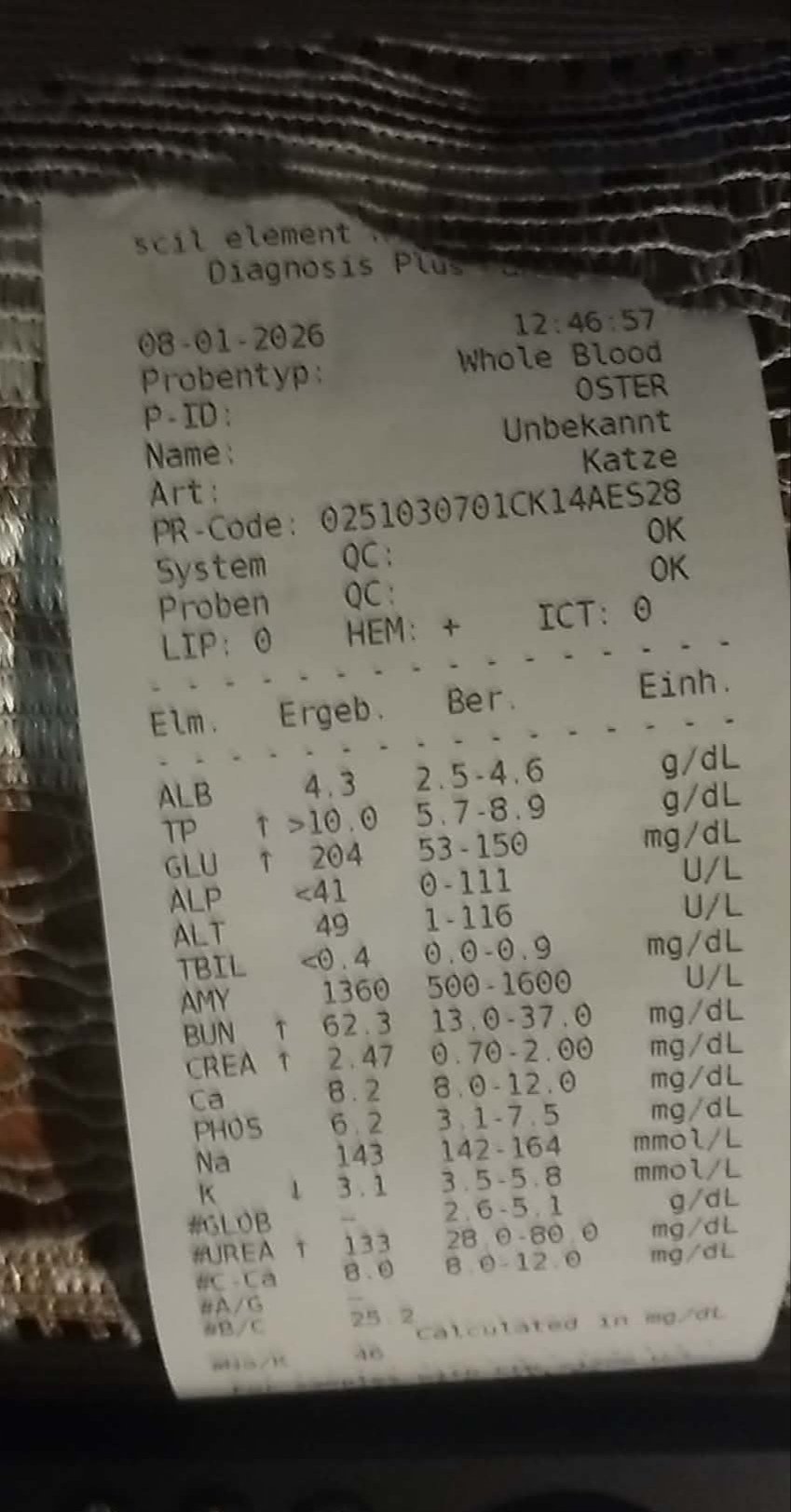 tIAAzEmGx8TZE3f2.jpg