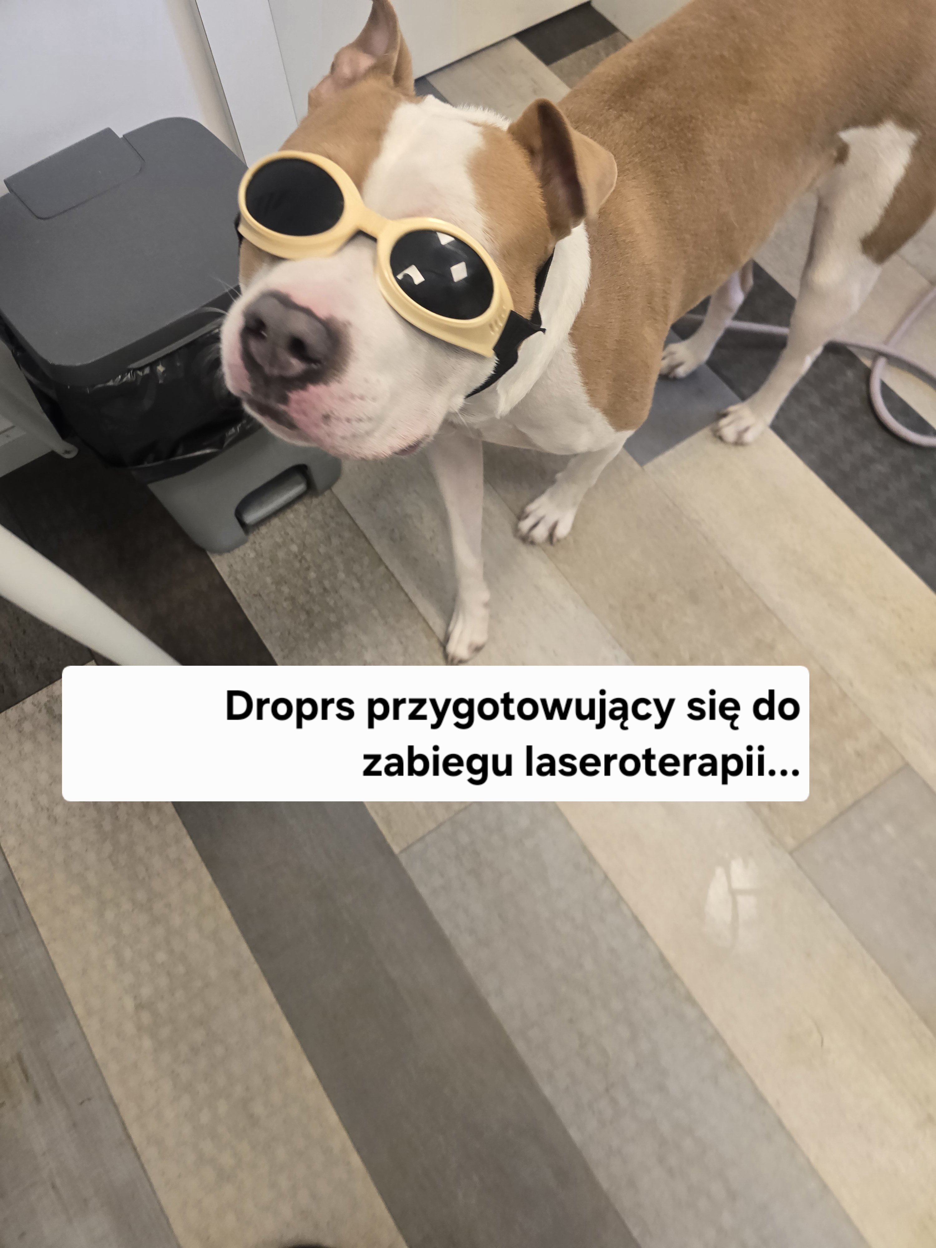 83WFRvqtkmPpifUW.jpg