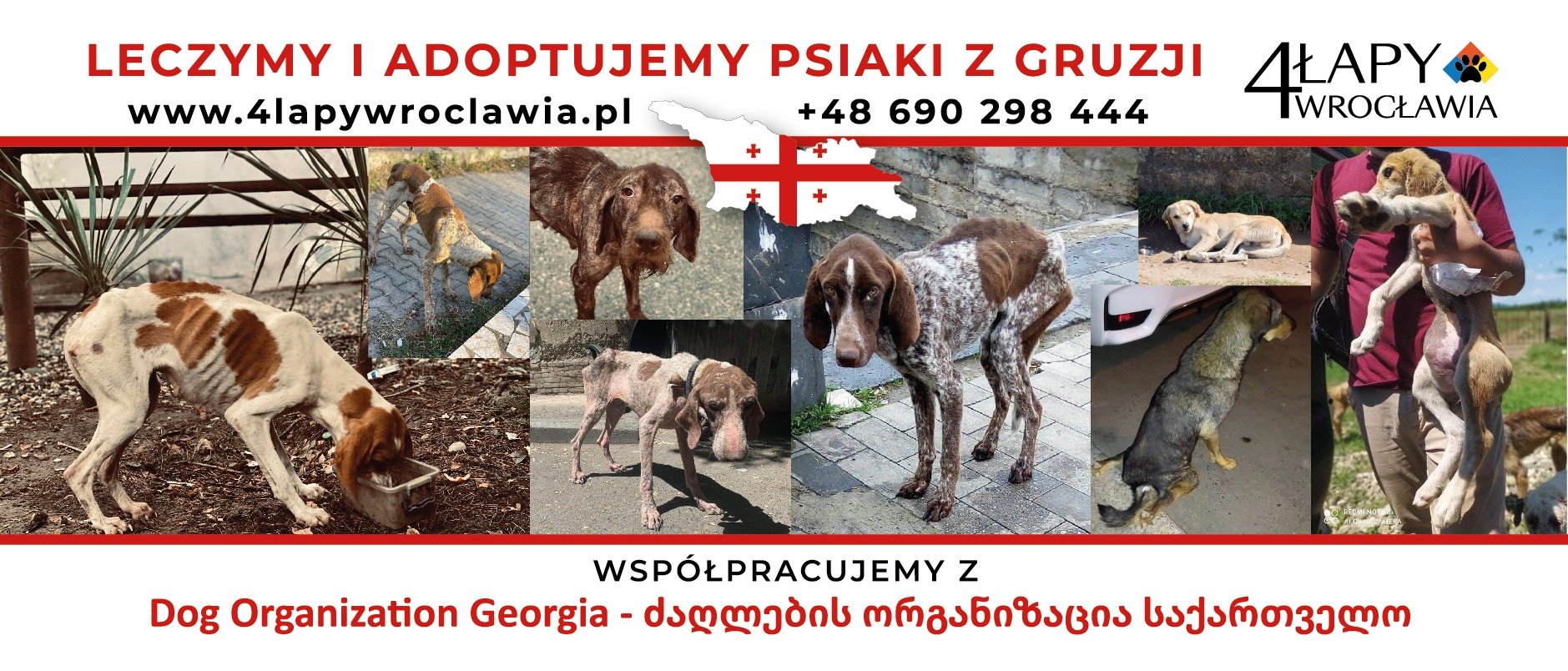 Co69K9Db7VzhEXGI.jpg