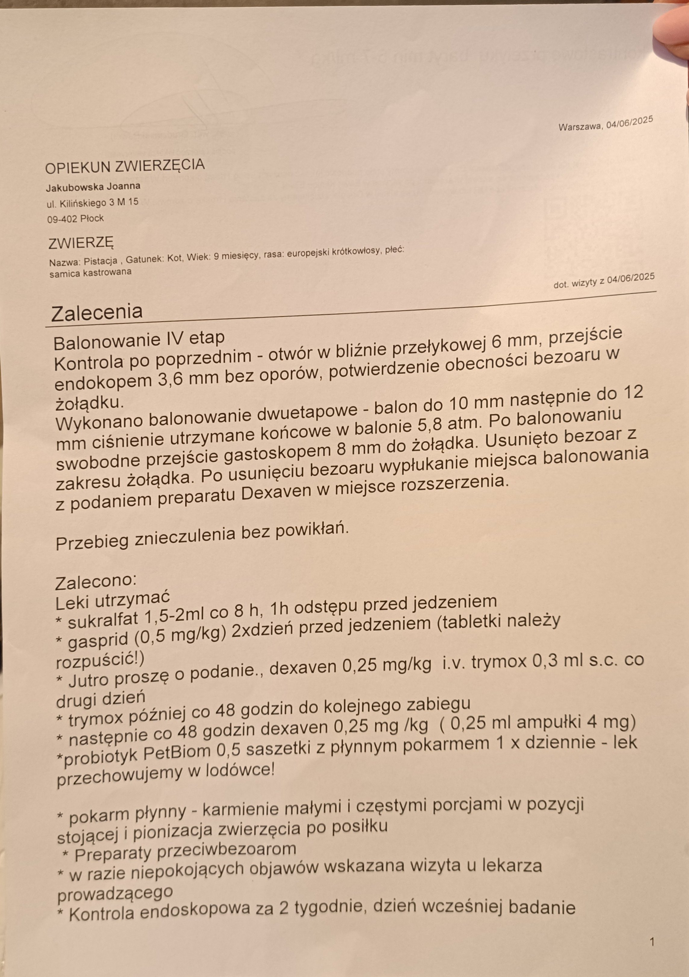Oz70lulMz2vAGYhu.jpg