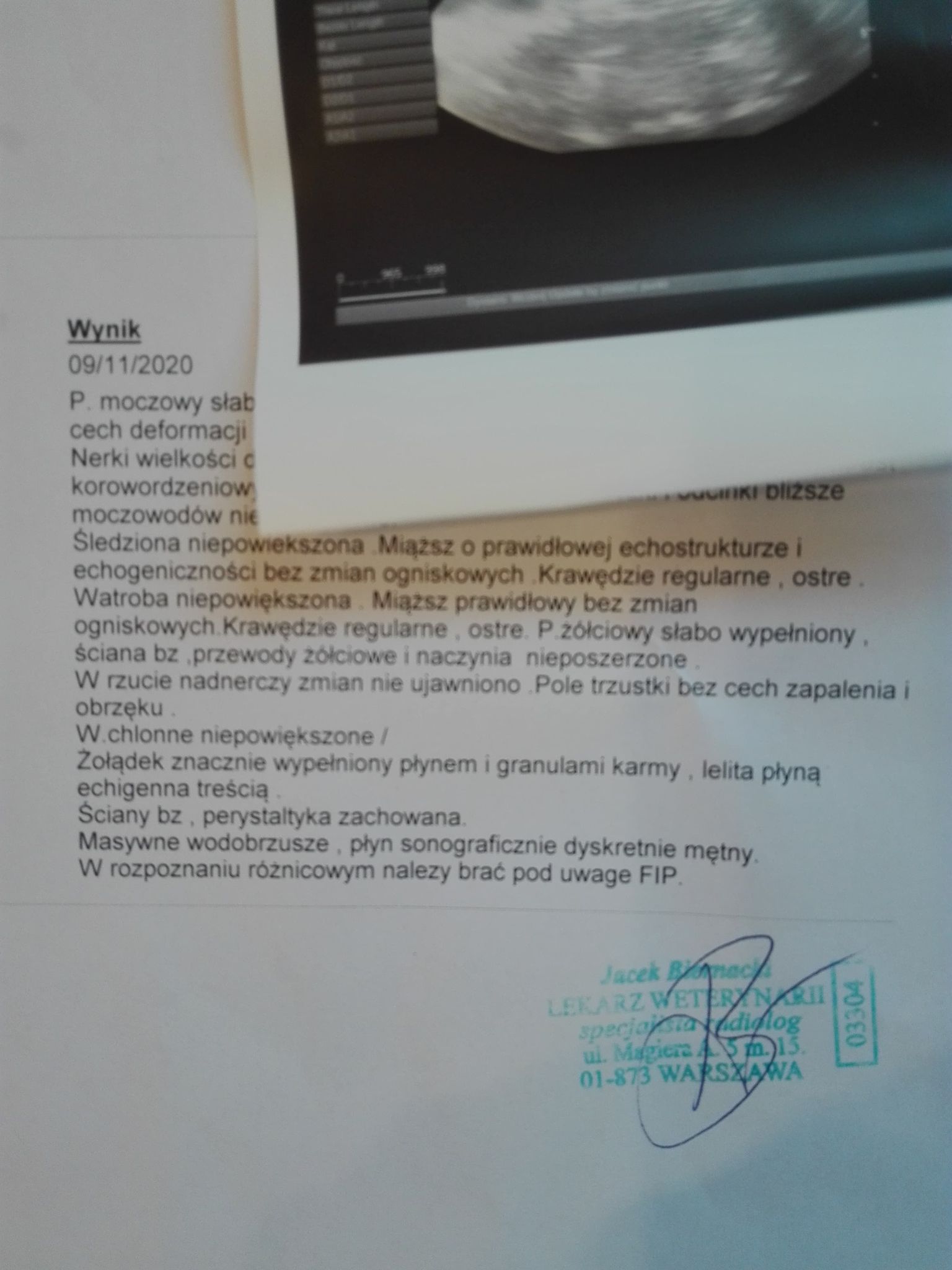 gf10ccced7910cdb.jpeg