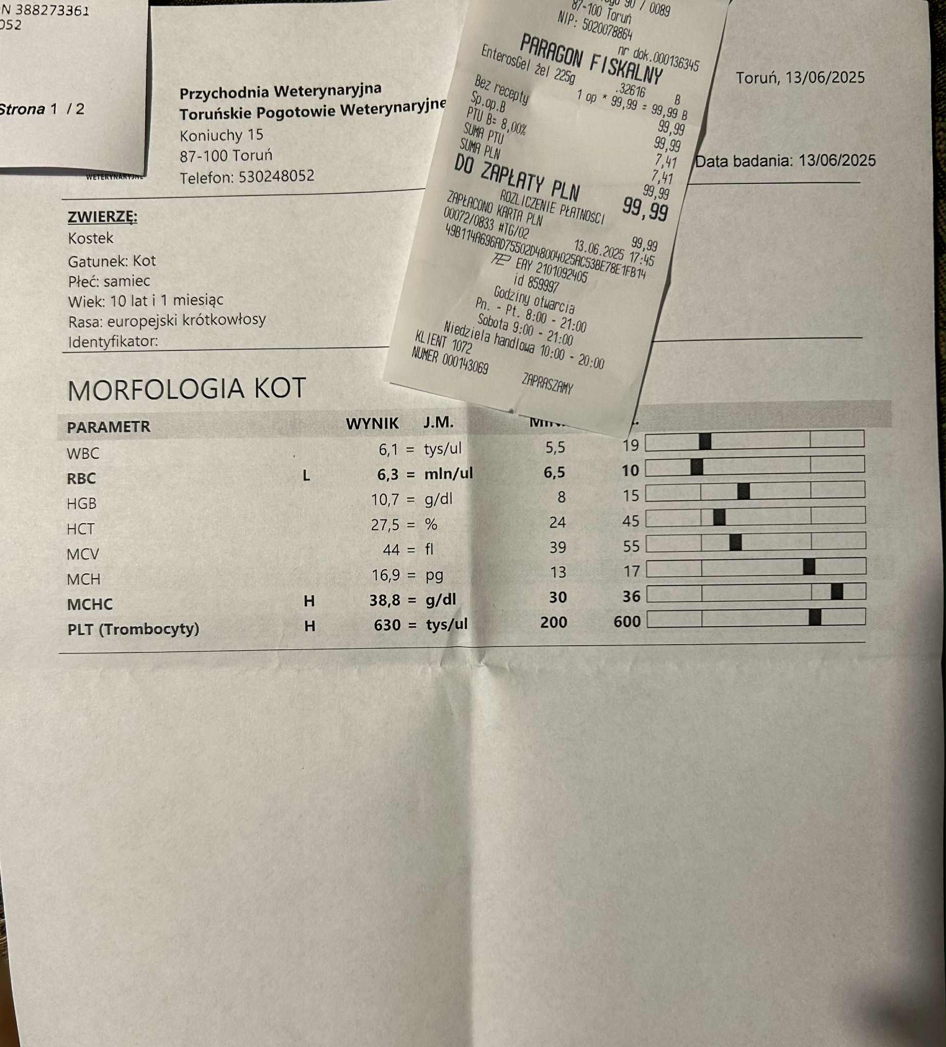 5GjELsoJMan3ru4q.jpg