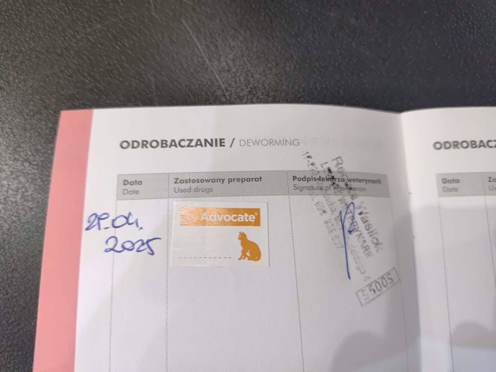 bWDcSCoKzMPtTKLR.jpg