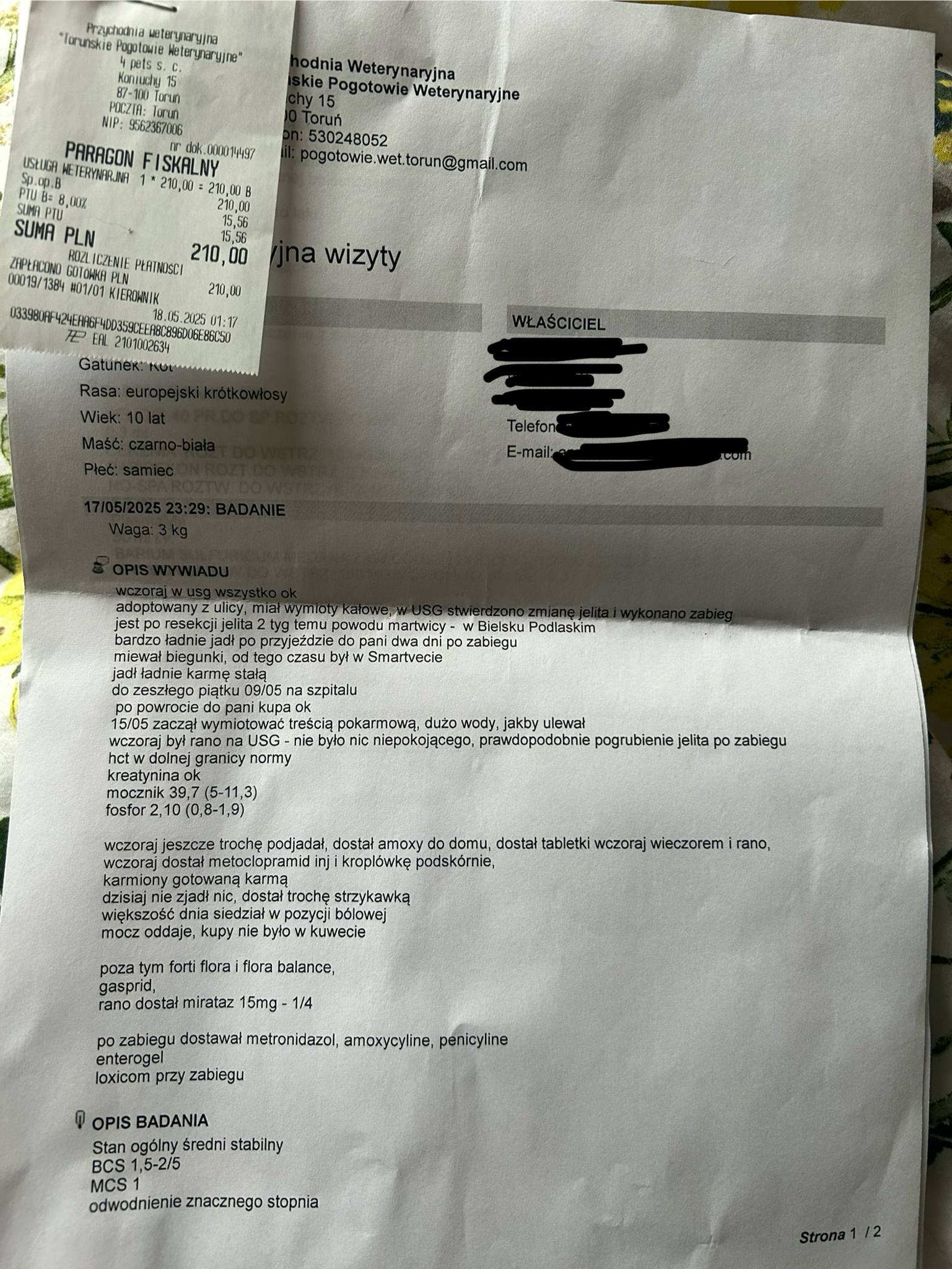 fdSFdvu5HJ1jo82g.jpg