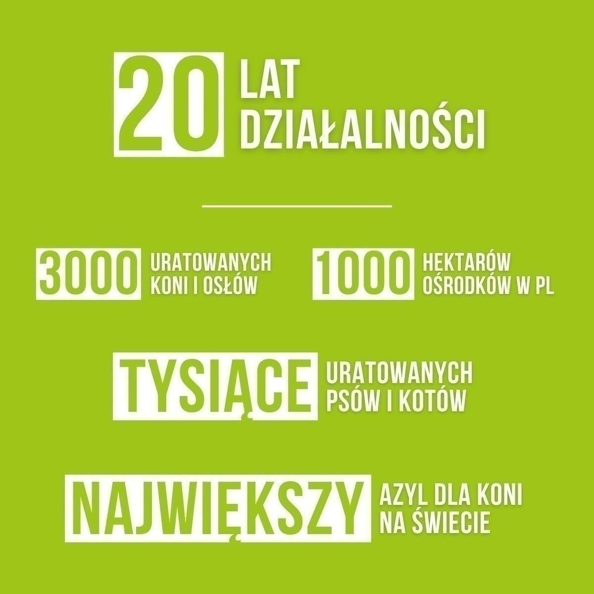 xcOp92rE9bRvFFuO.jpg
