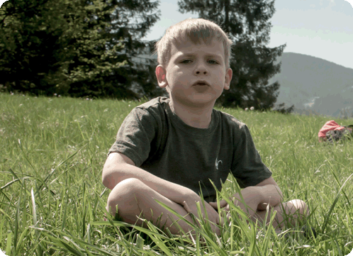 j9269f067d336fd5.gif