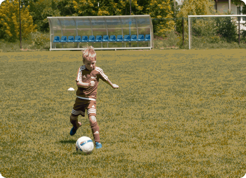 t09f22a9124a0be8.gif