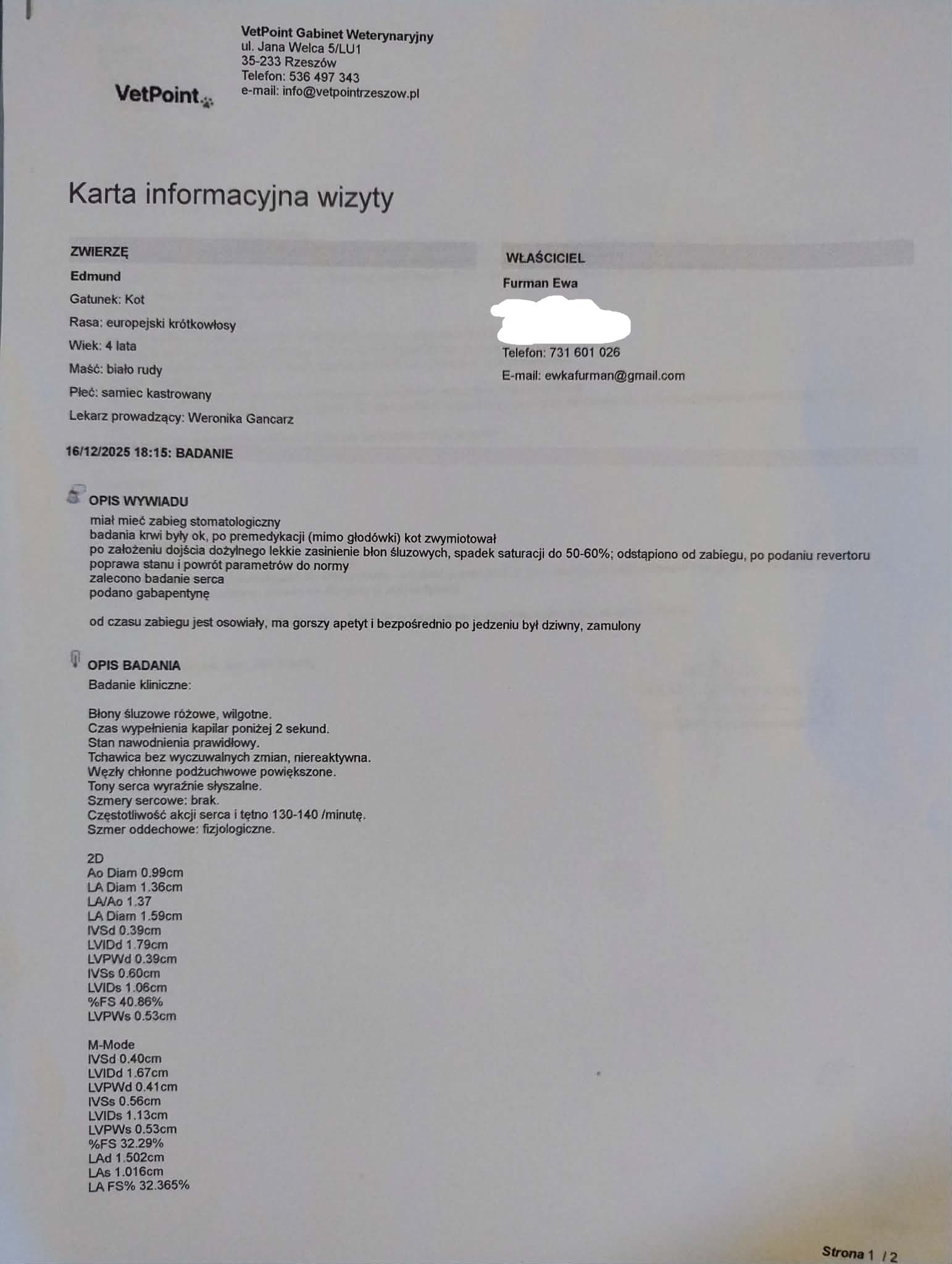 NOFA0euVRC12qFhQ.jpg