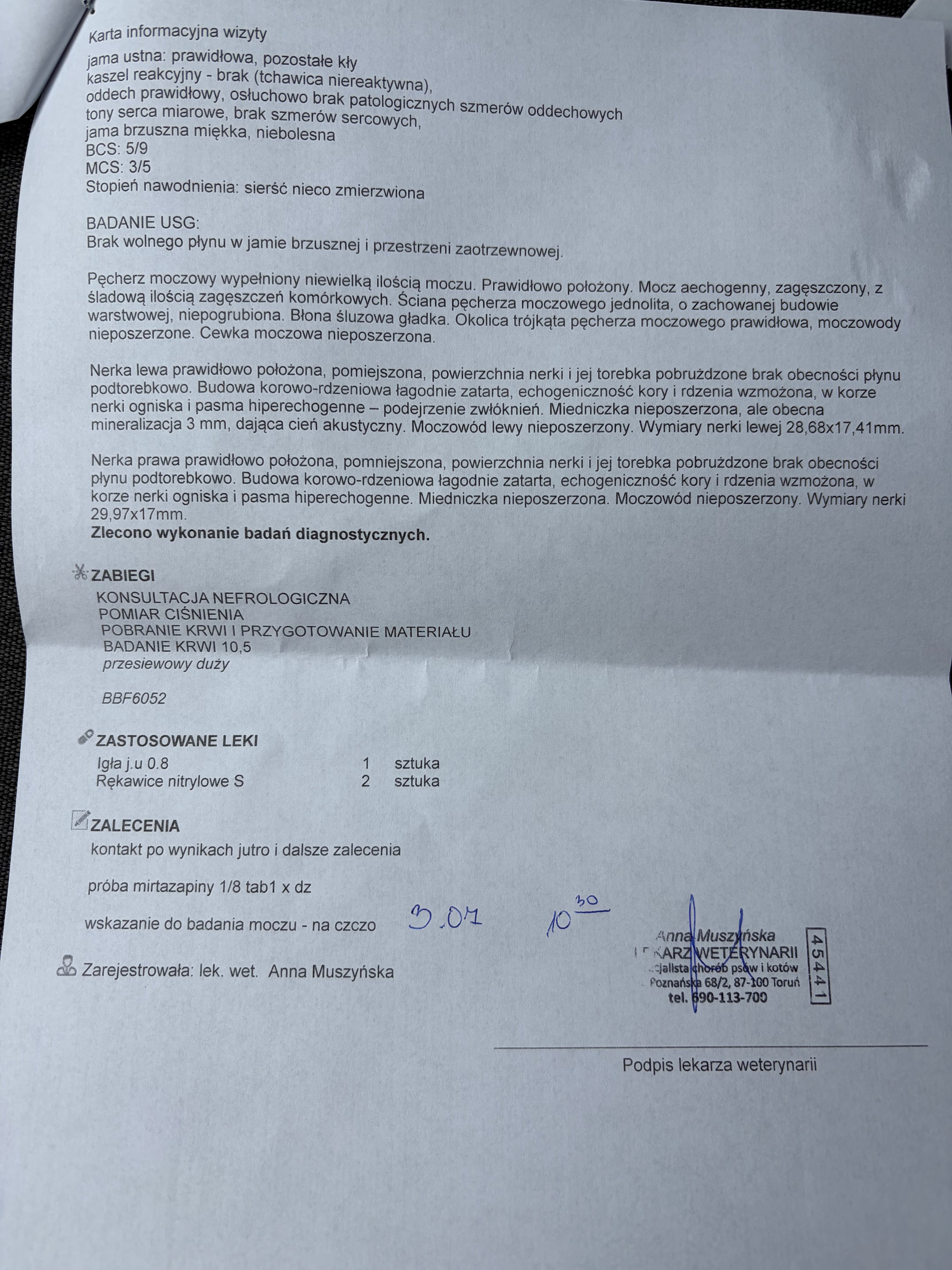 51S0kjoKHvl2VSxY.jpg