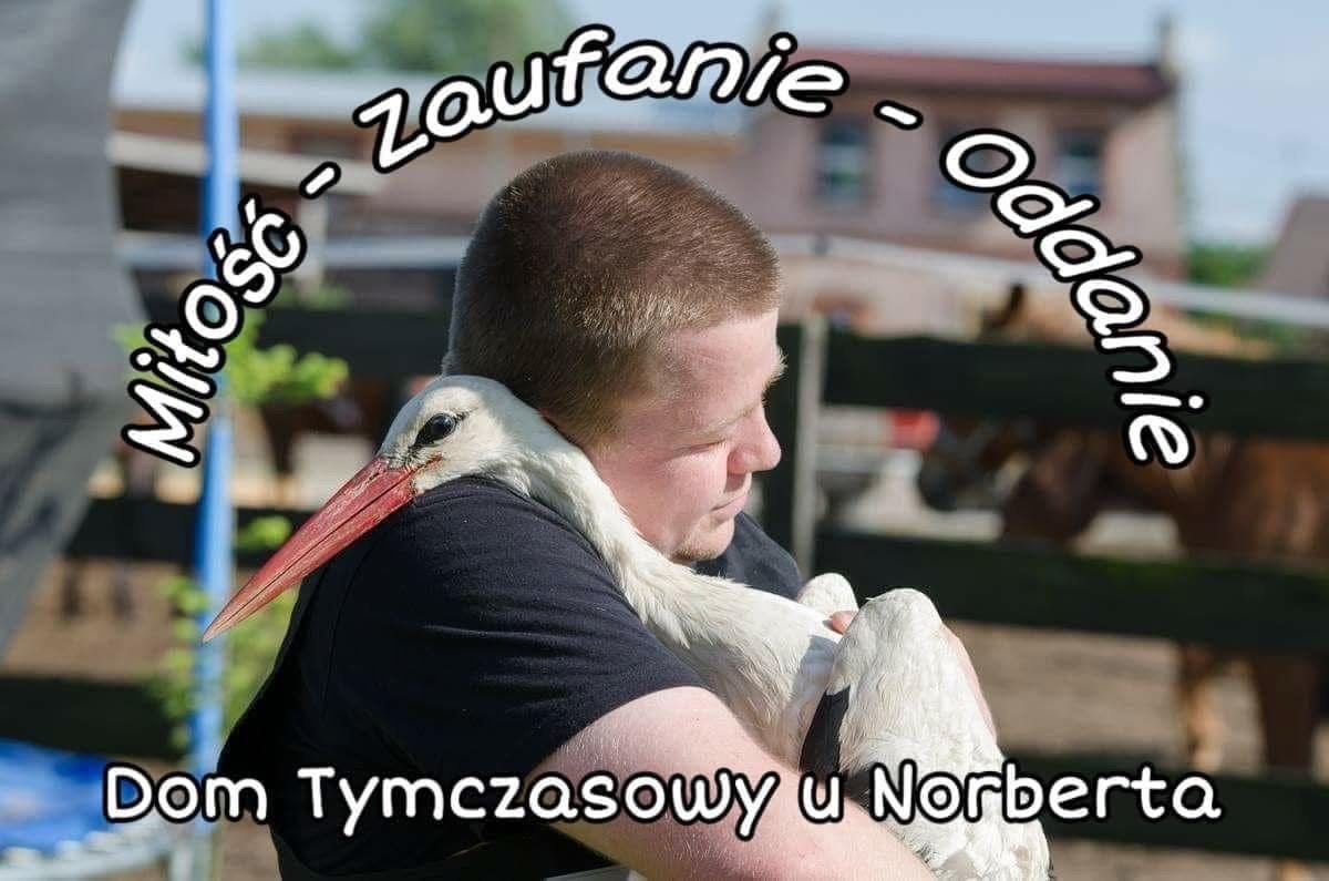 X6YKmb2jILfGQoF9.jpg