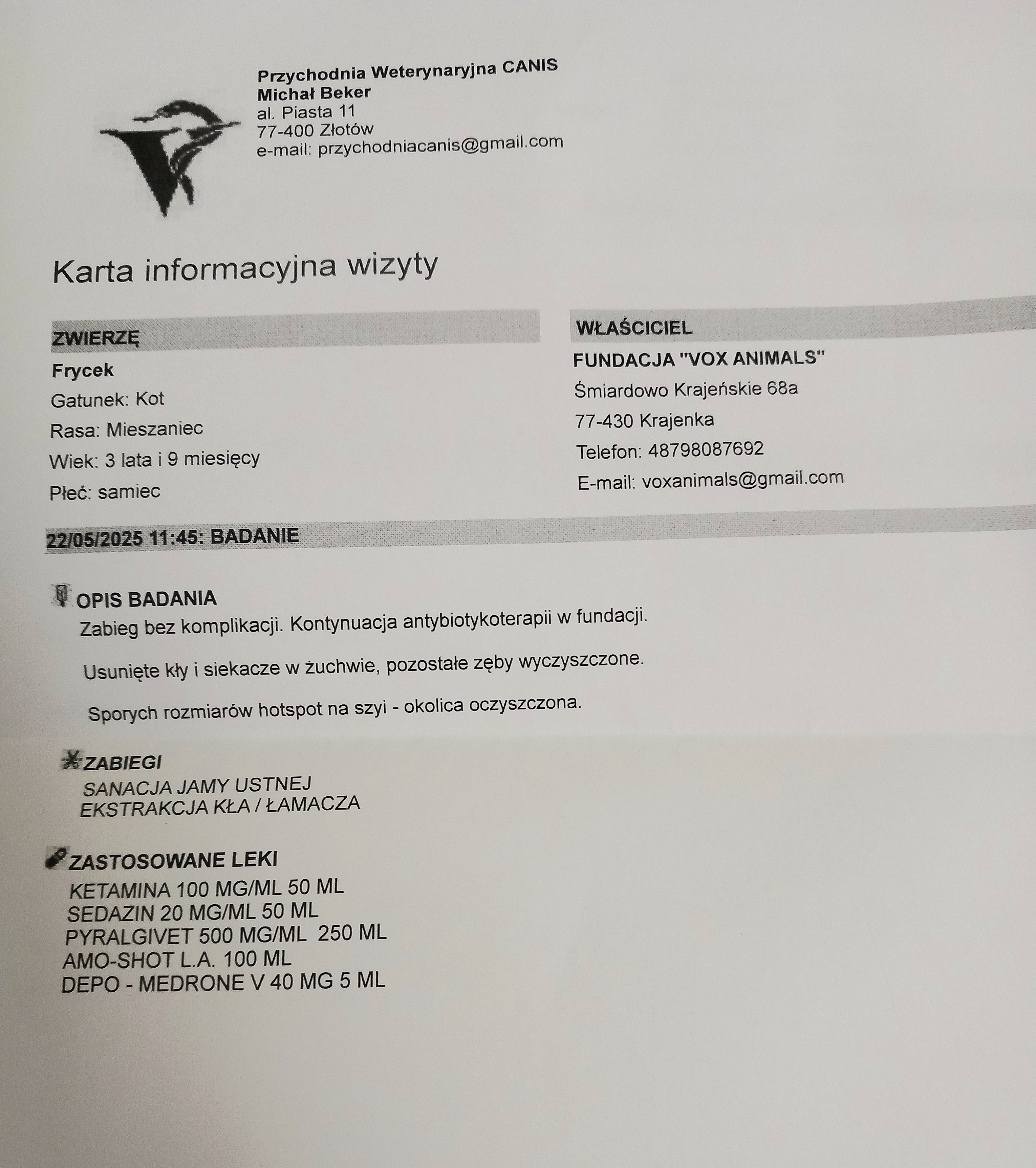 VuiT2DzSCqVgK1W9.jpg