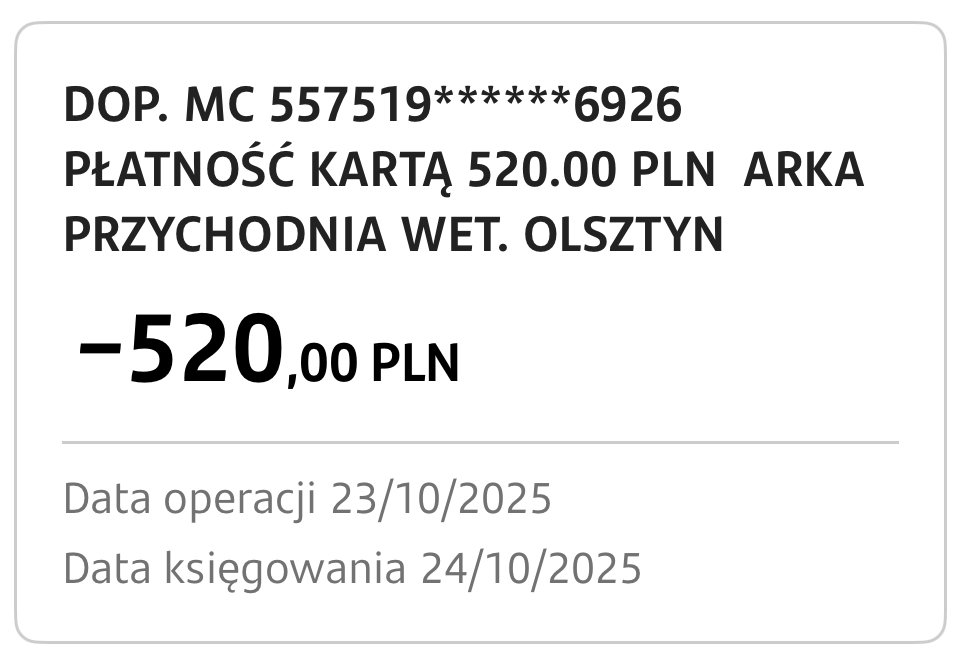 tppQFpFd2Xrsapck.jpg