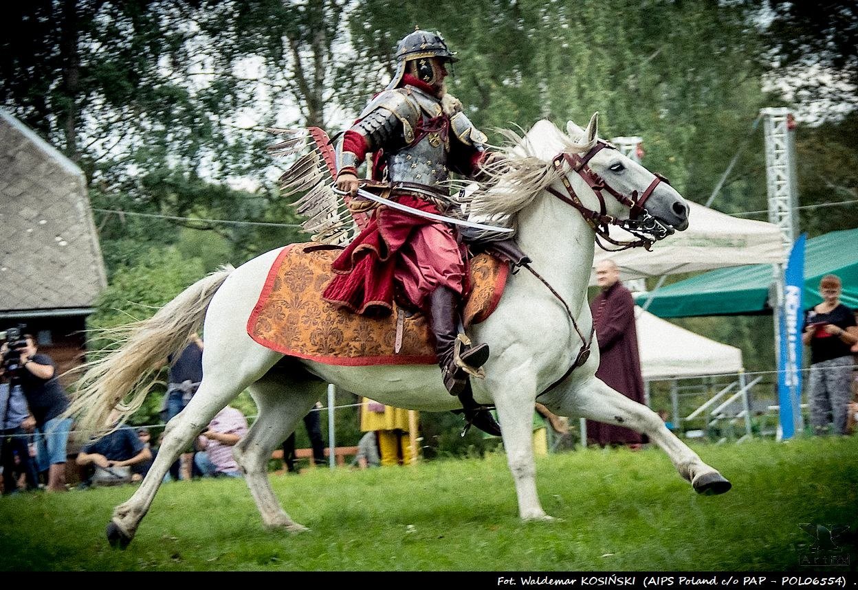 tQyQozE10gIXi2pu.jpg