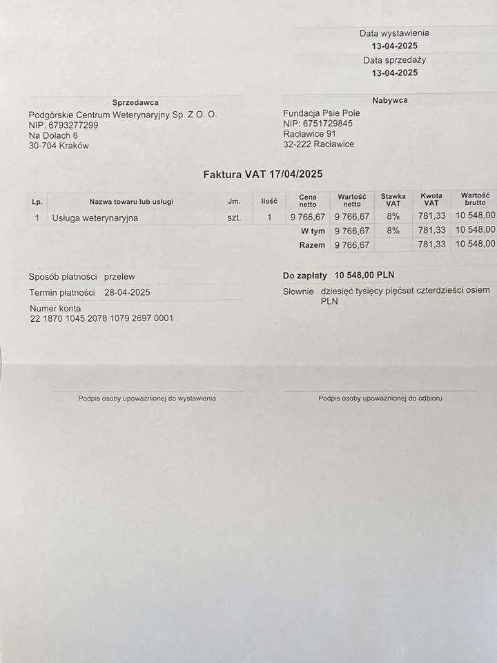 oJvhRRNUrkYSaUYV.jpg