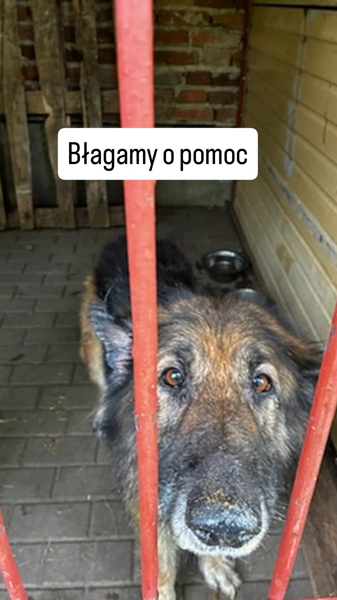 7pZwVojdtwSkdFZP.jpg