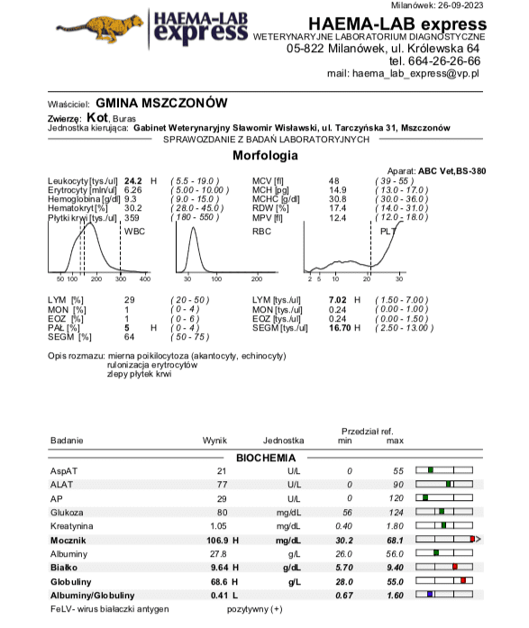 EDQL8GuQw3GUKTvb.png