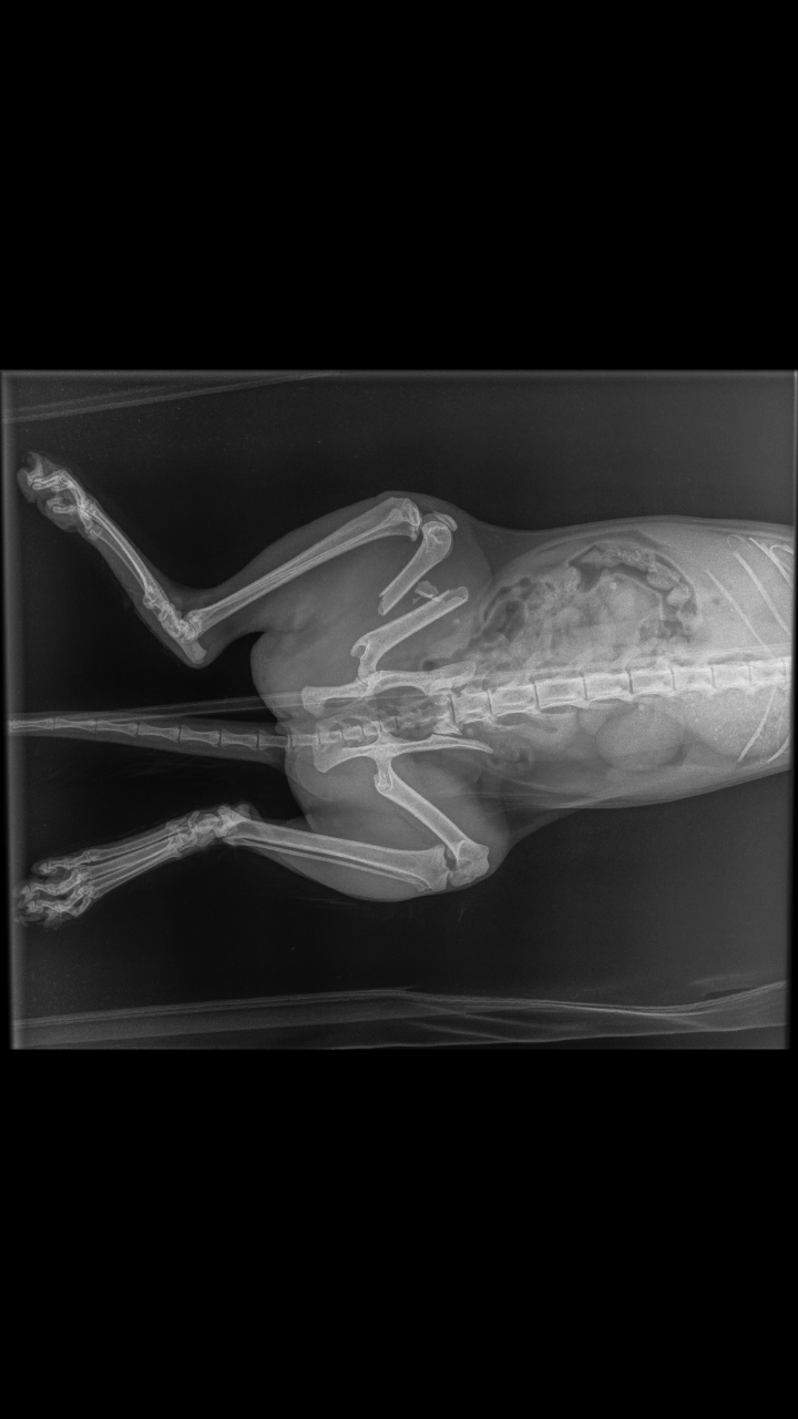 gaf2435f86f9078c.png
