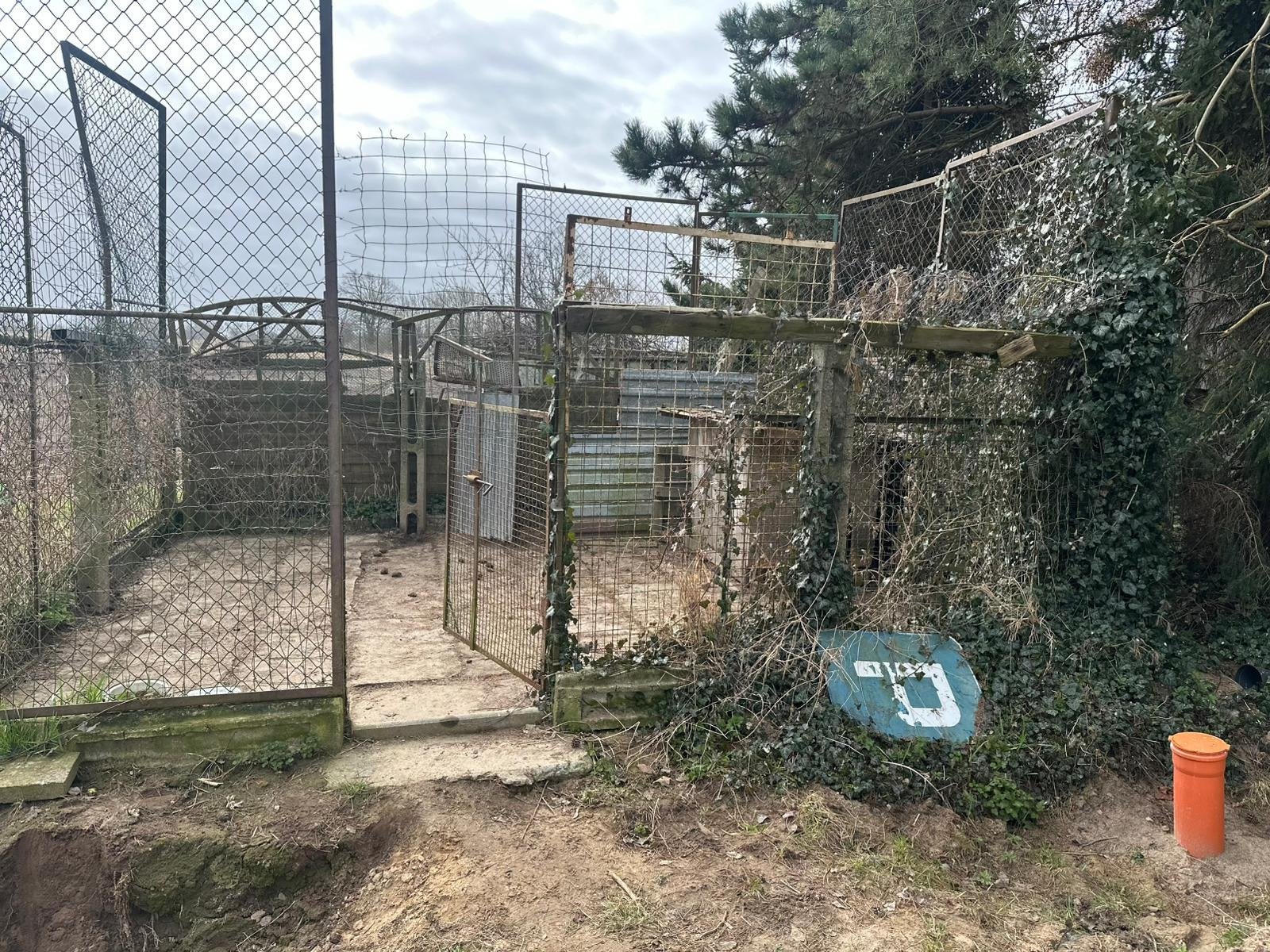 YBCcMtbg8Vn52VKJ.jpg