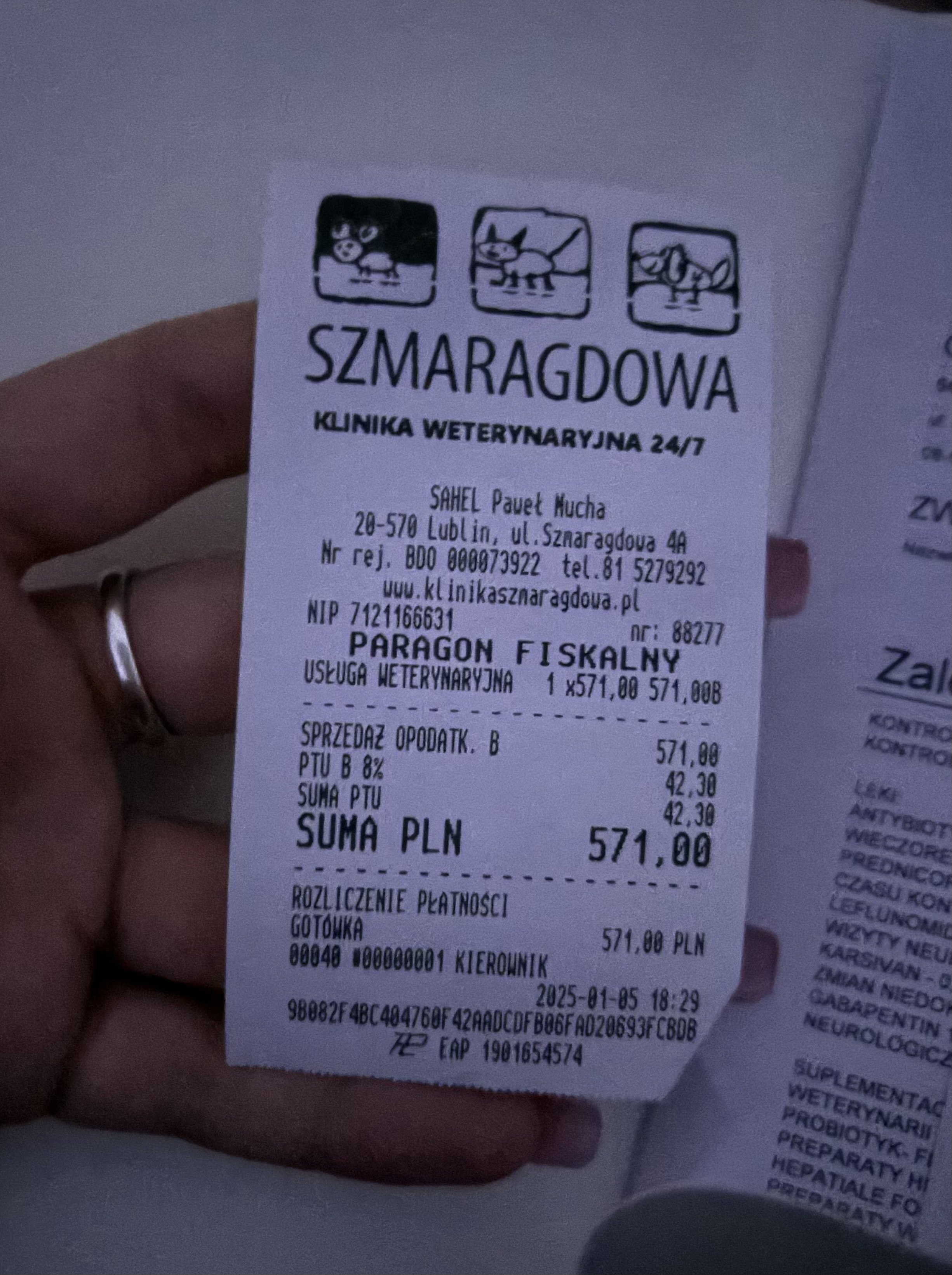 oGd8vmQszNpbqmWY.jpg