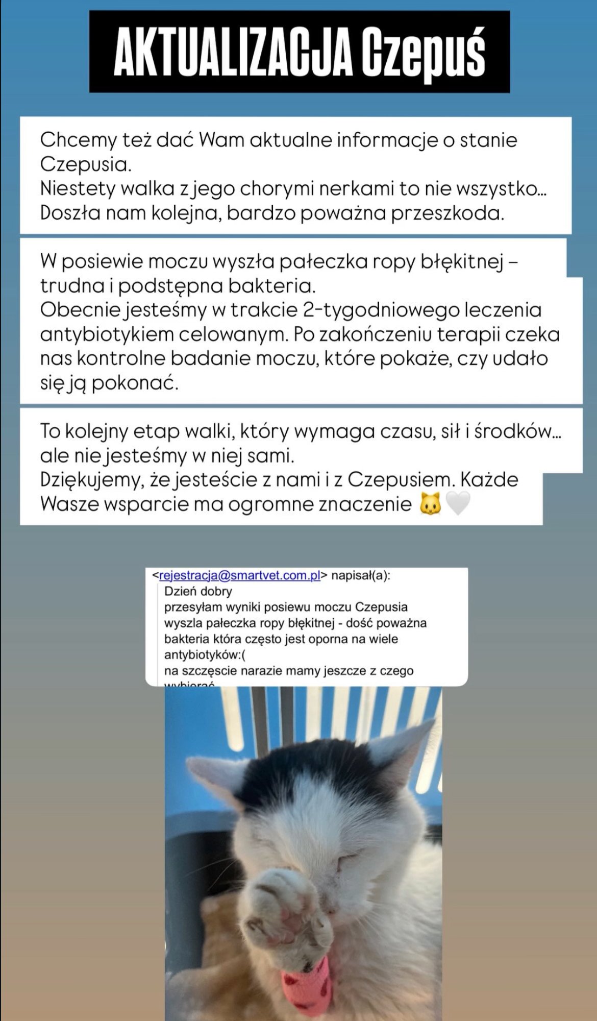 TwXpr2K6gje9eQ1C.jpg