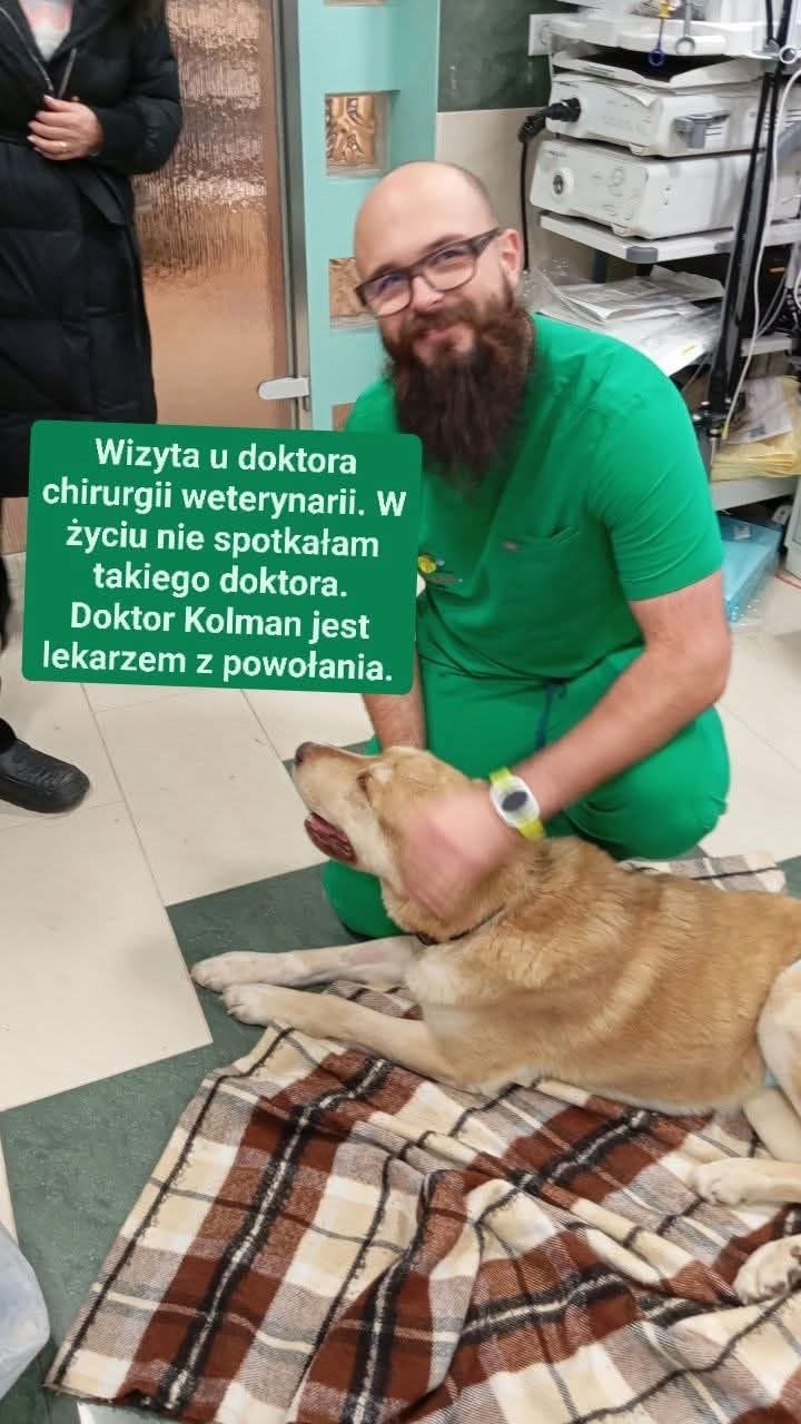 0ipsu8duY00RiQwe.jpg