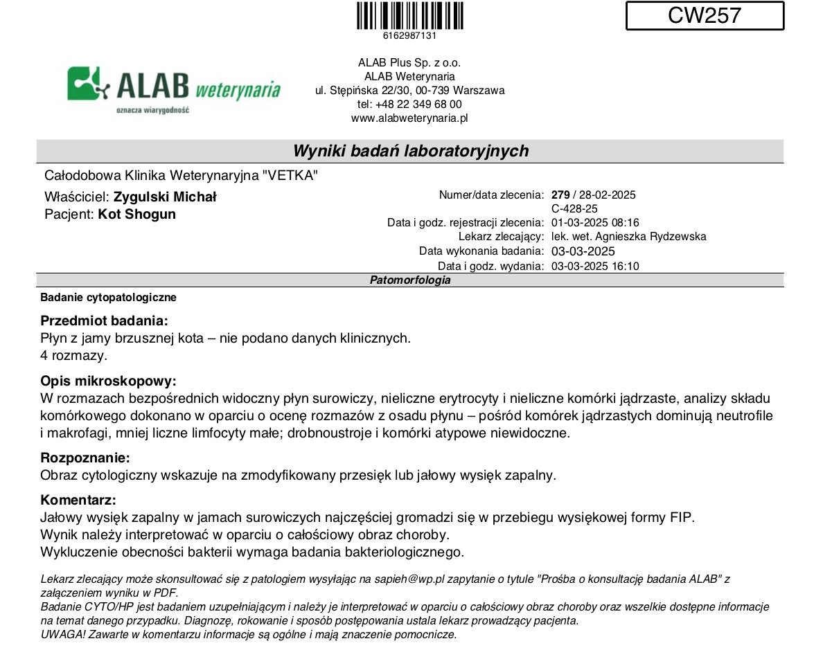 RMvasmkjNNhmtAmB.jpg