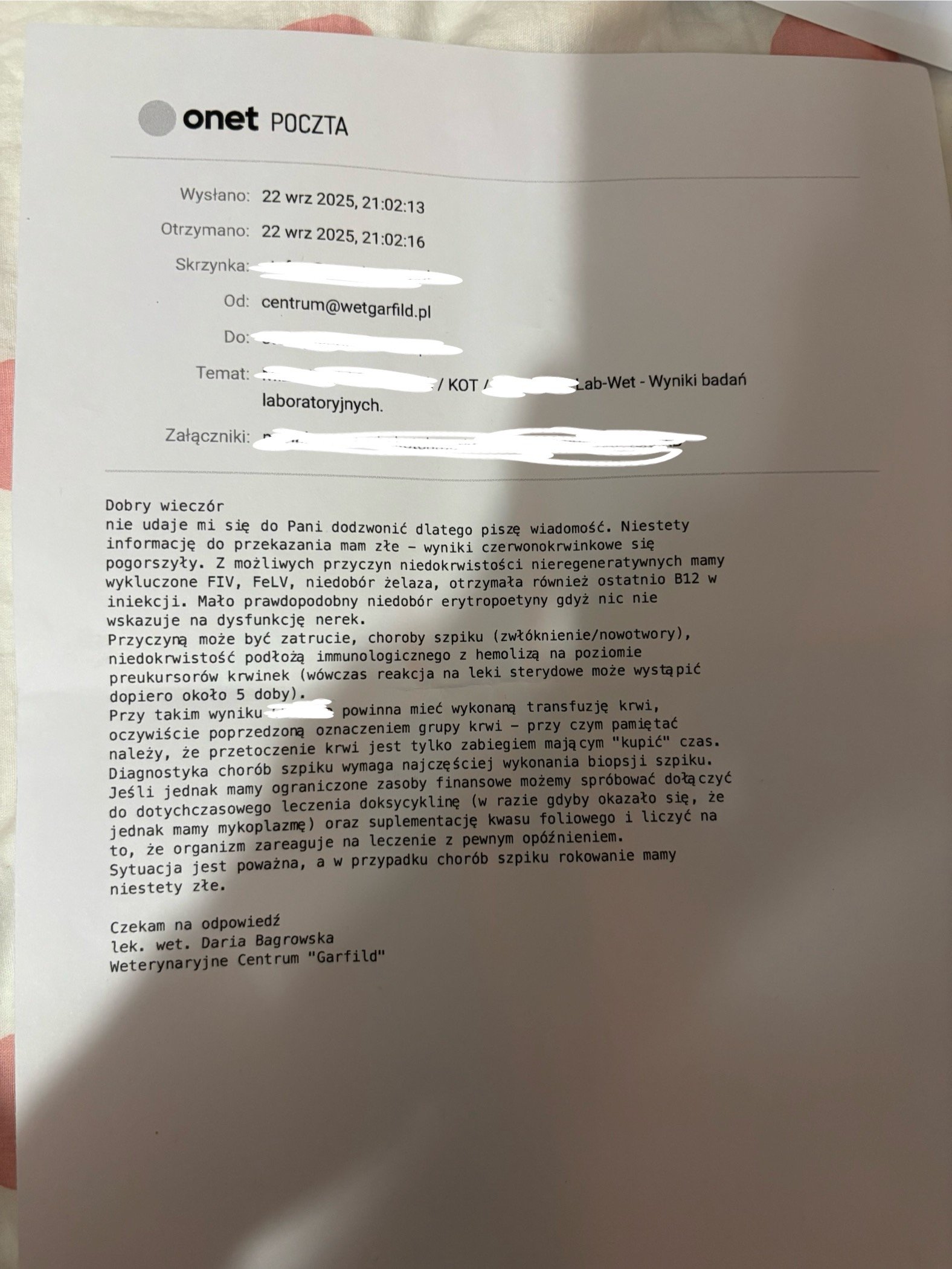 tOxcq7RnqRfaARdi.jpg
