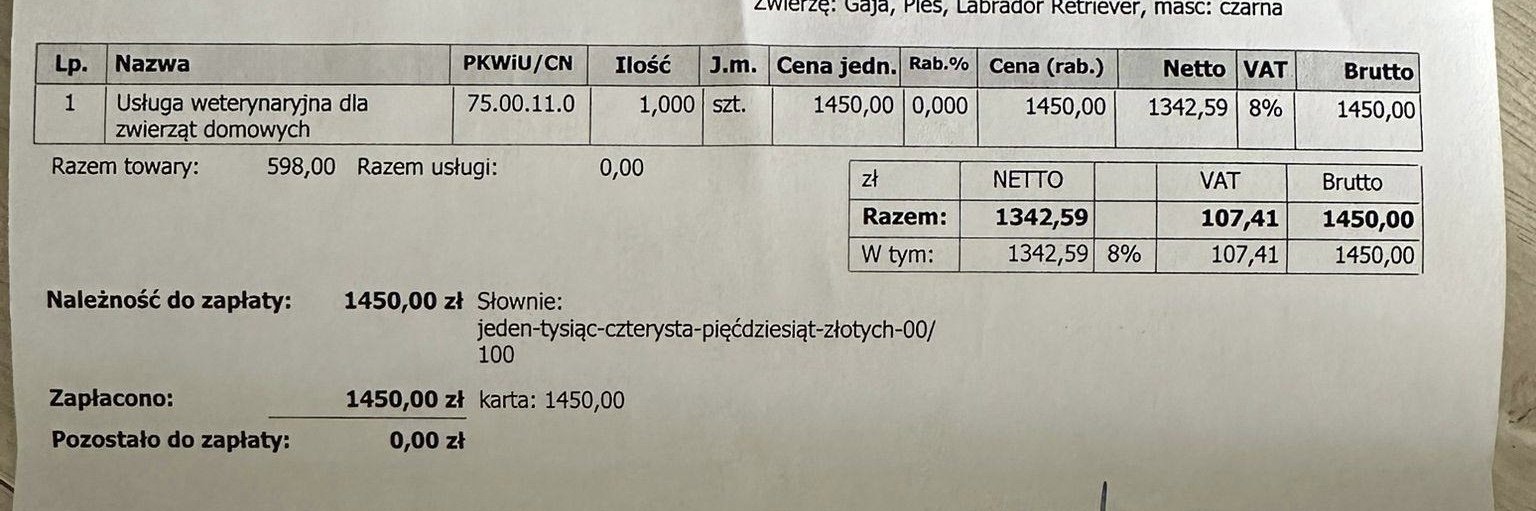 XGUm8ztMmCe1IxUz.jpg