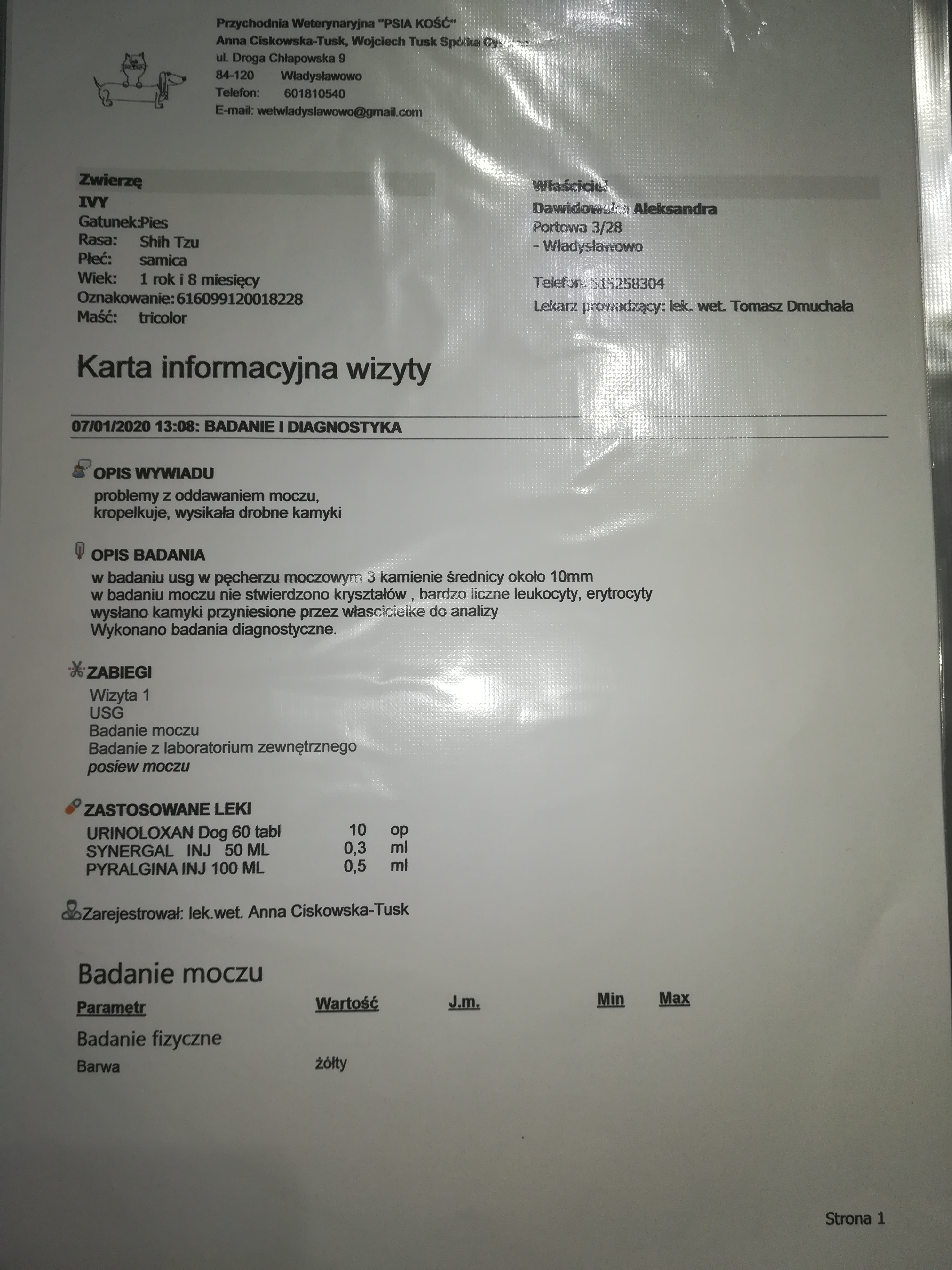 aa32863328ce3e8c.jpeg