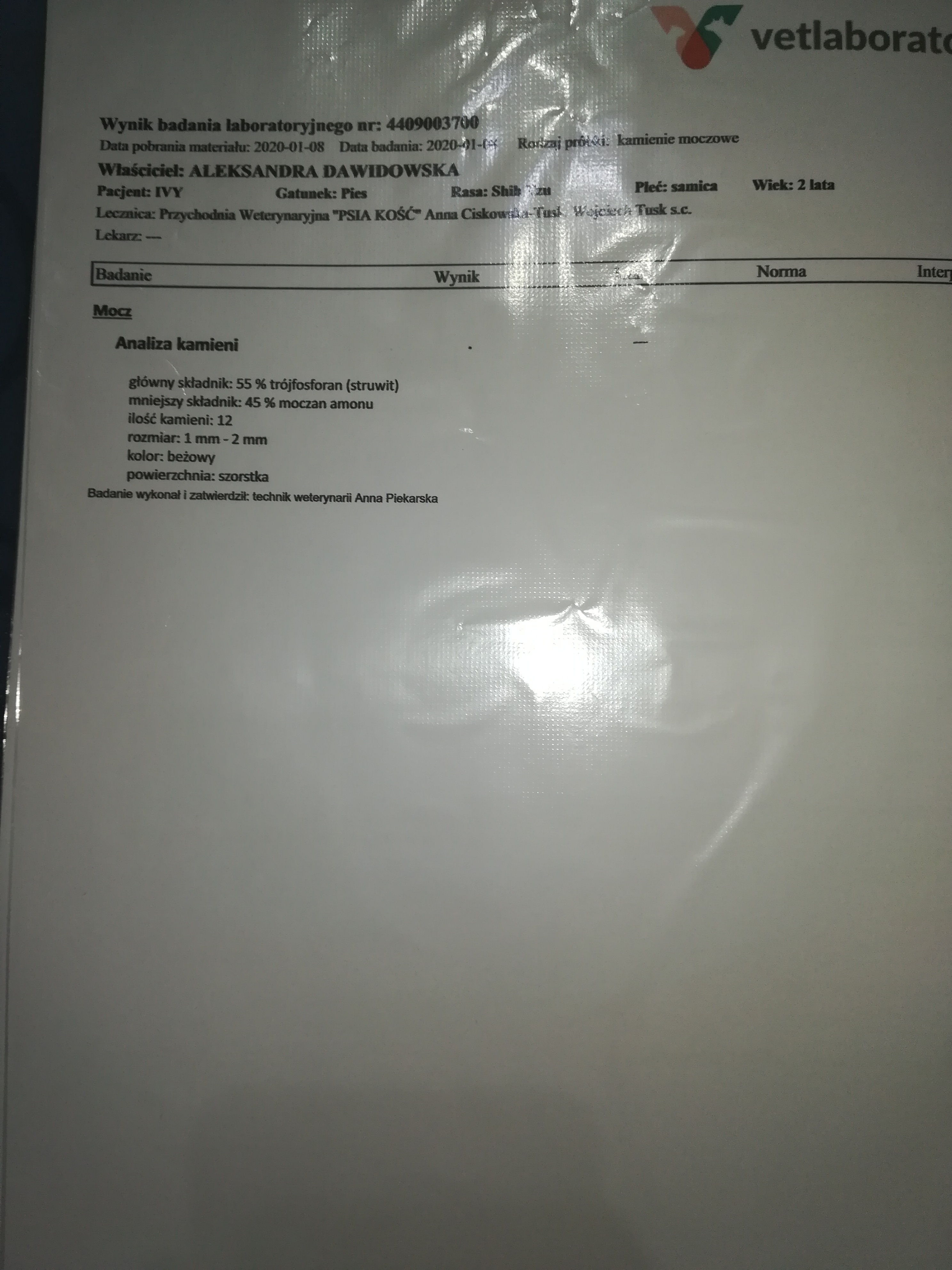 g1961bae0a577d04.jpeg