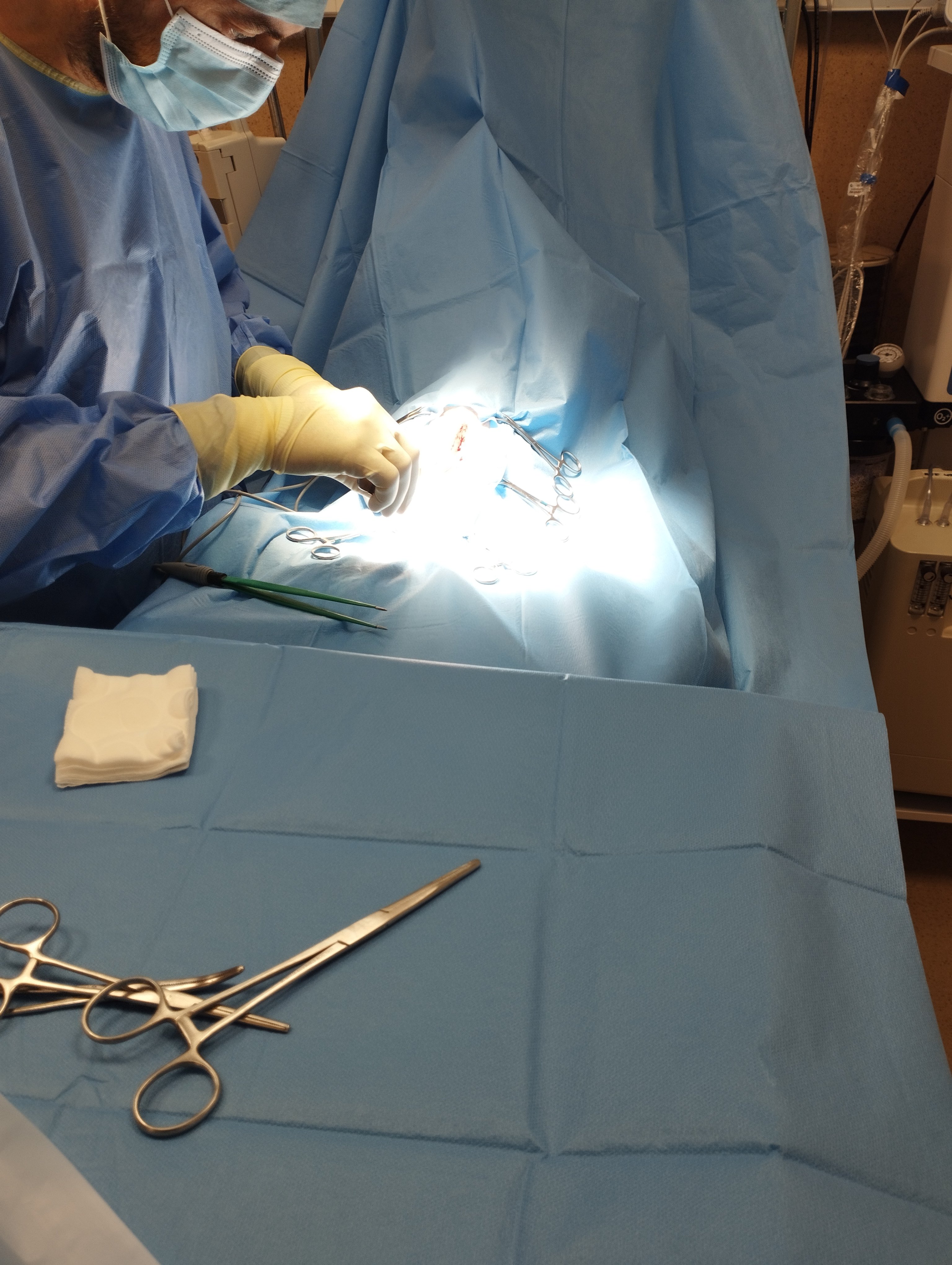 TdnrNUhM9JPz0eEg.jpg
