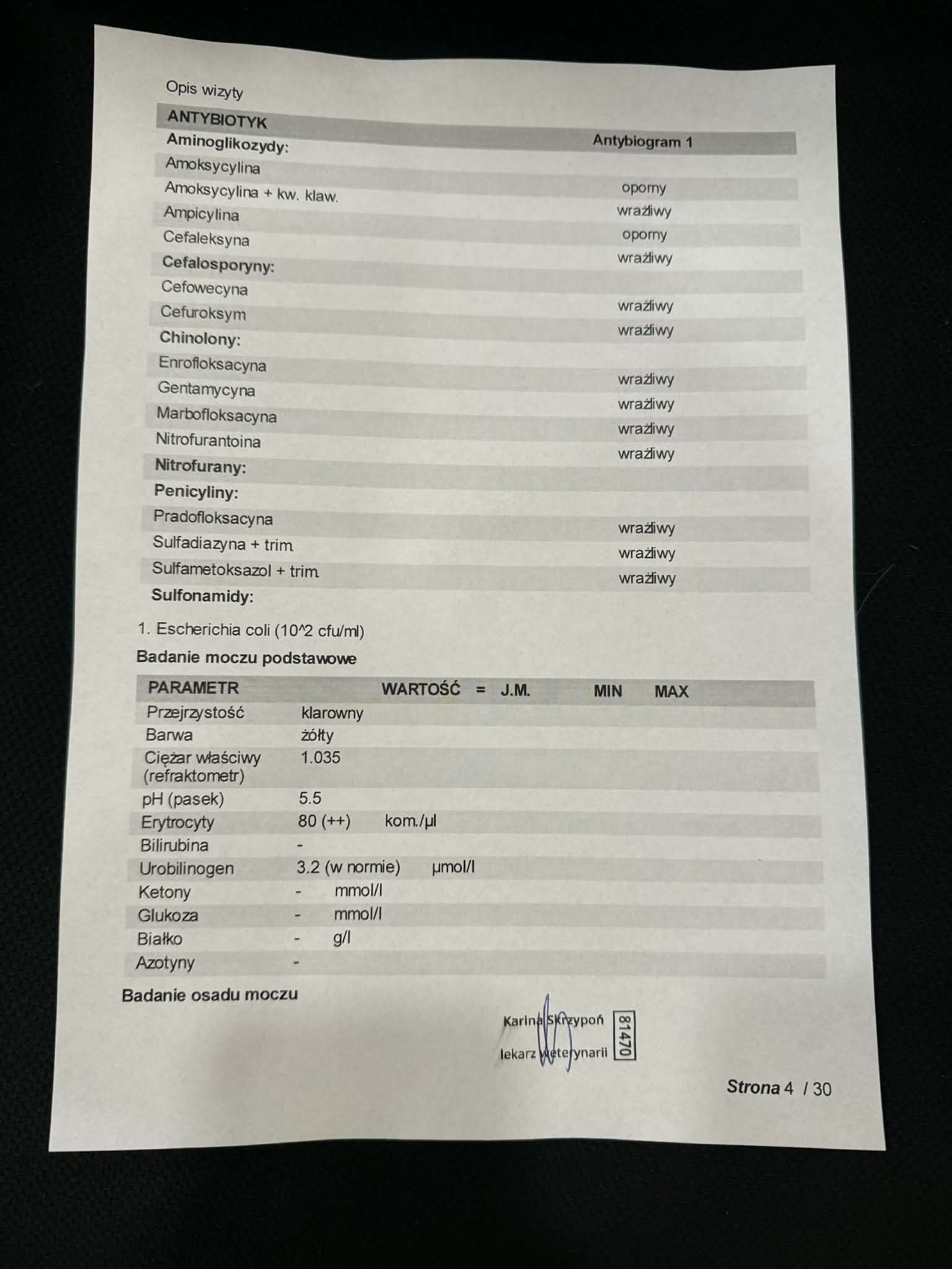 LZw8uZaIe09lUEww.jpg
