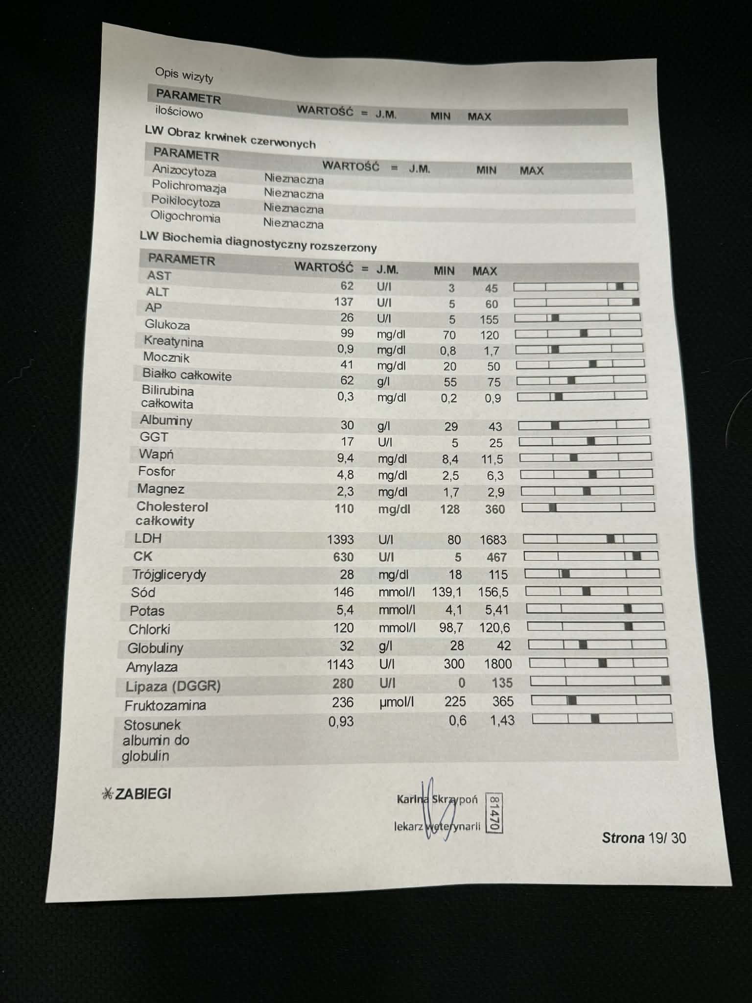 tKoZI67yPRp0df4v.jpg