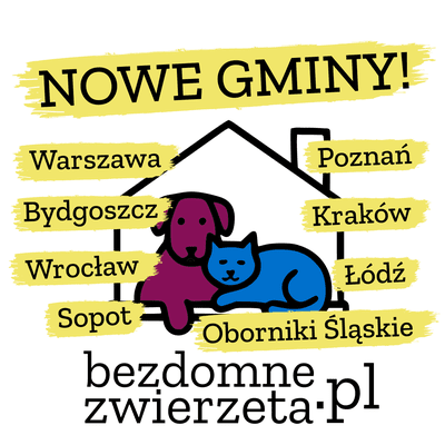 rLFO1zW6TXEUiHBA.png