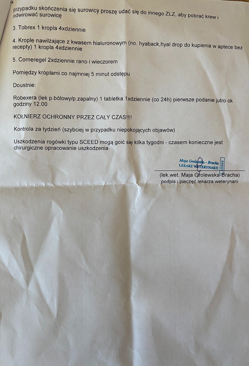 P1WCIKLUm0sElZWQ.jpg