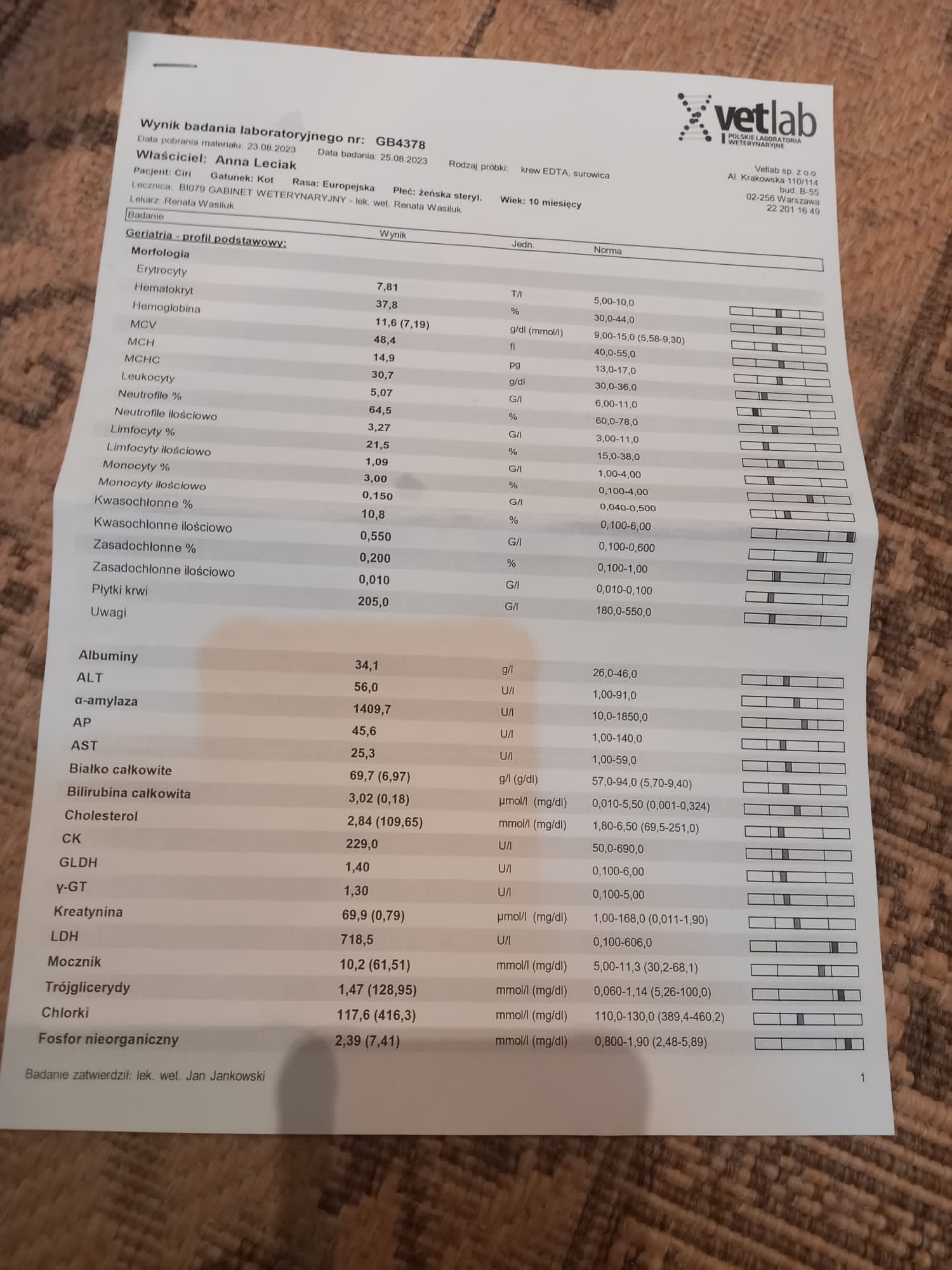 gmwD6Np9RYuV6mZi.jpg