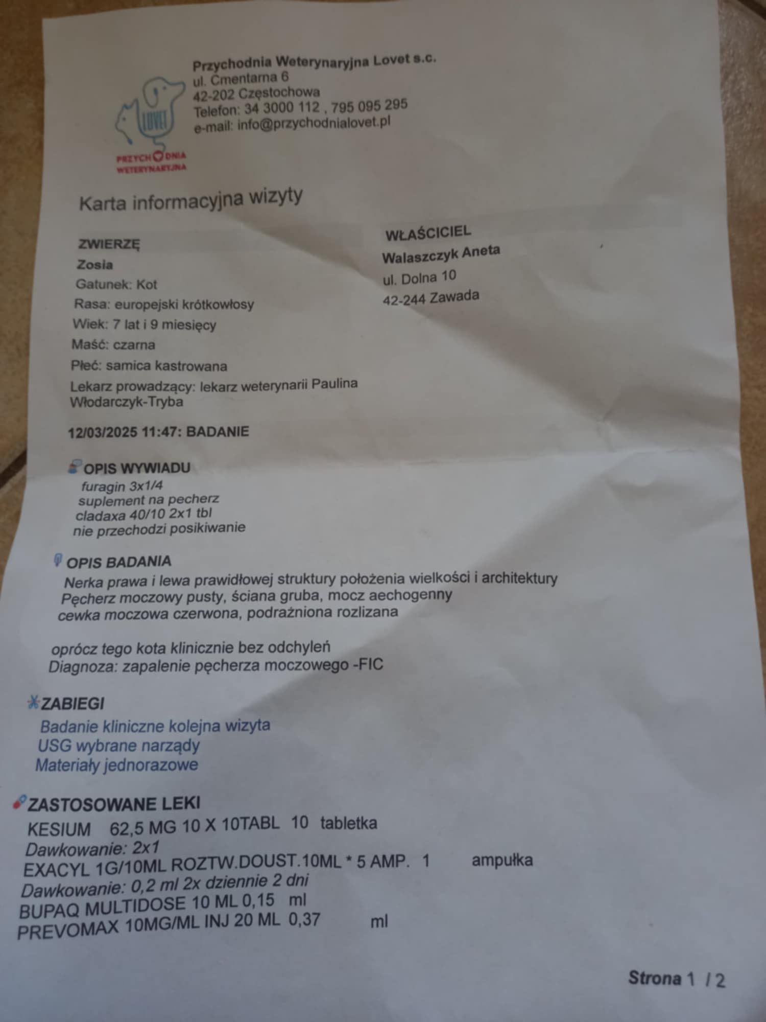 wjUJ99CvoSJ1qWLx.jpg