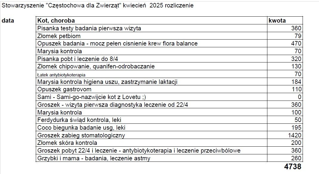 EZatbTDoOrtElR6P.jpg