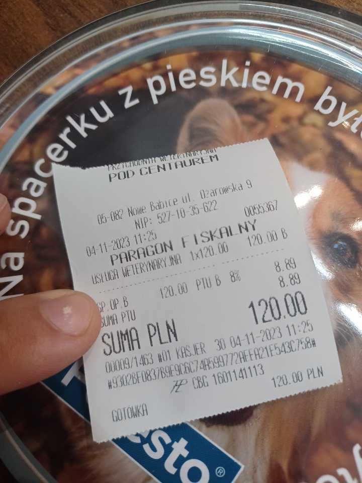 wSIdJAhASyzIkoum.jpg