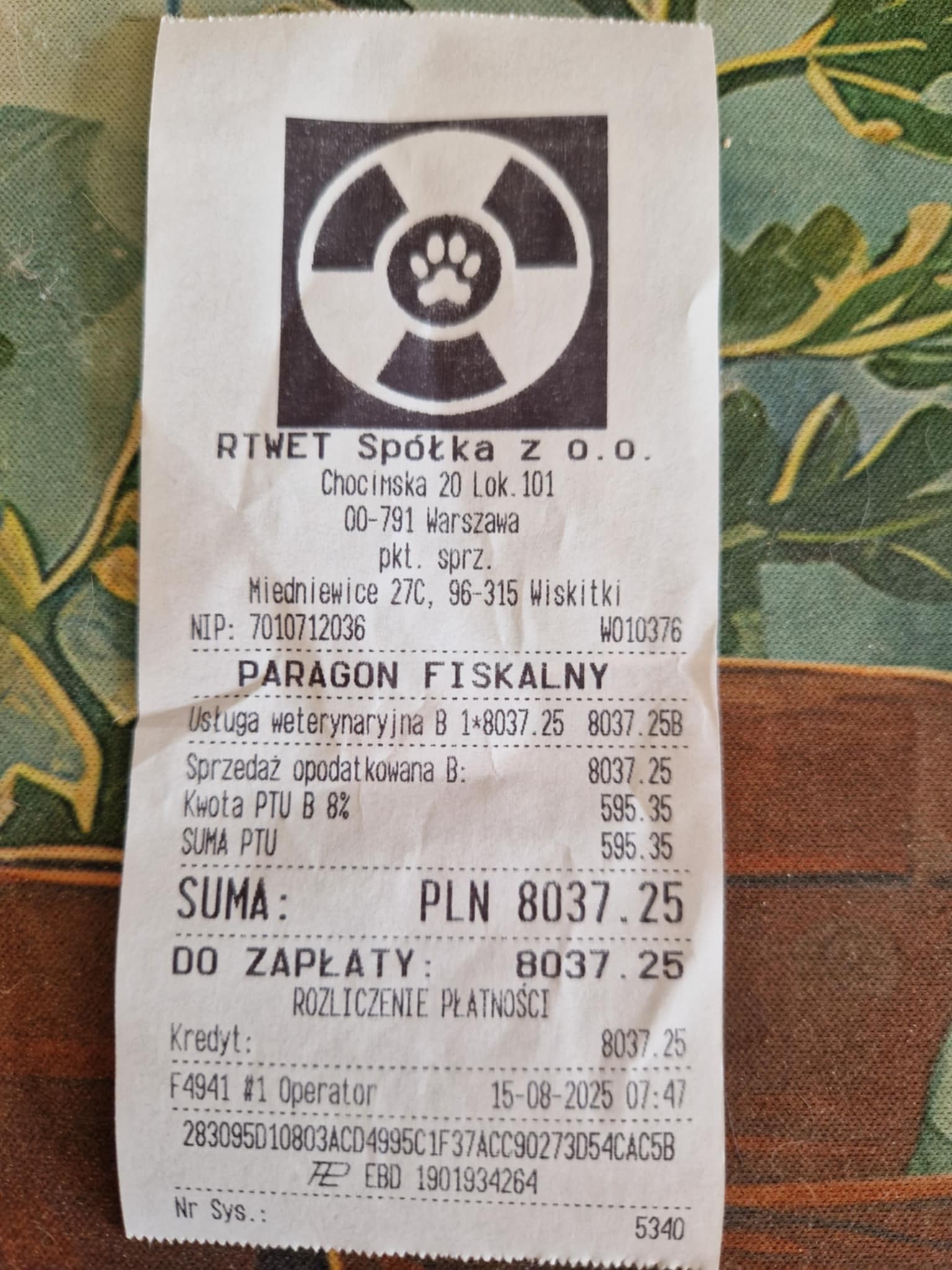 hpjFaWySjkVAtynj.jpg