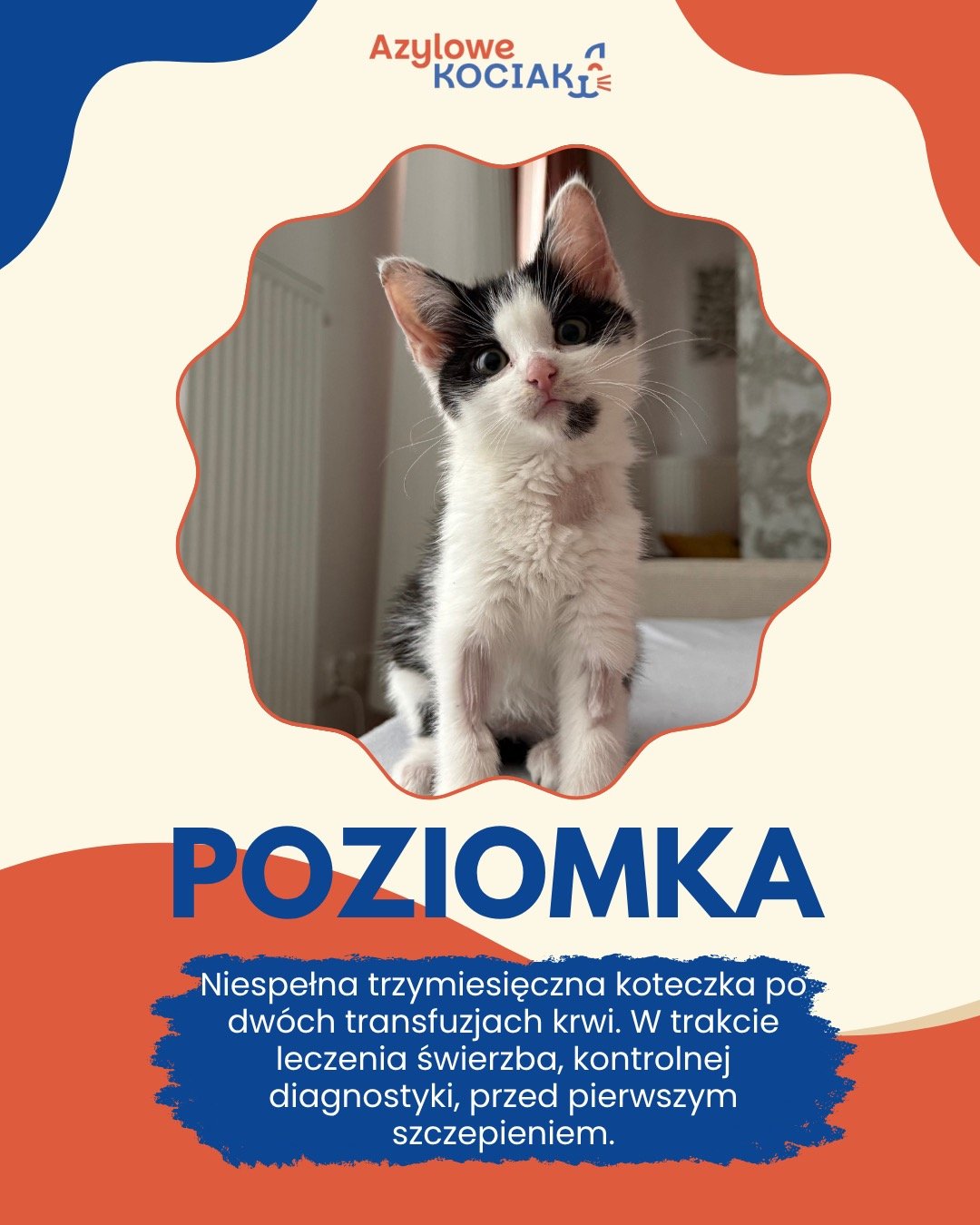 HzYsiqSP084I7bt6.jpg