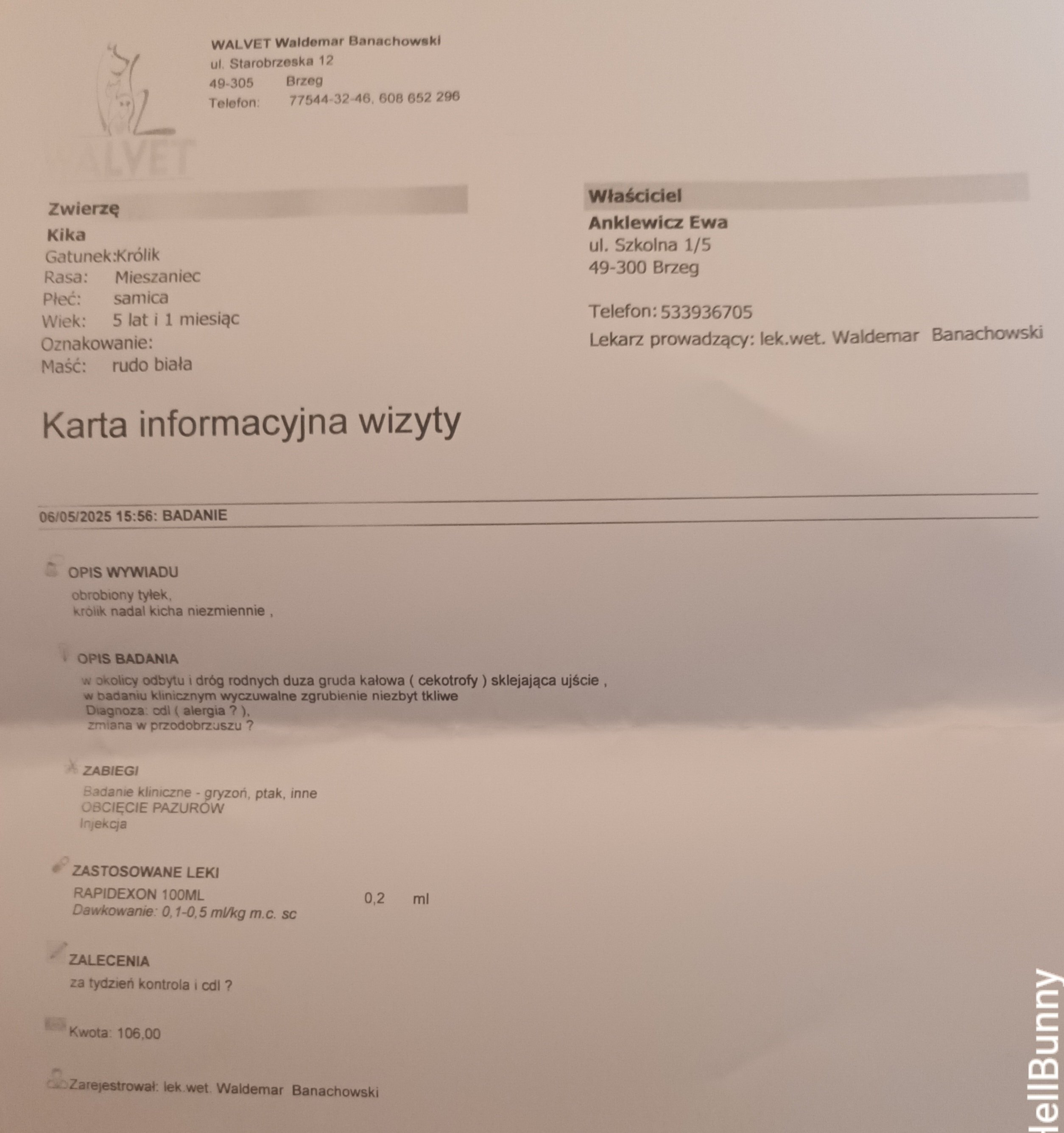 iqHtm9uonCdlMY3N.jpg