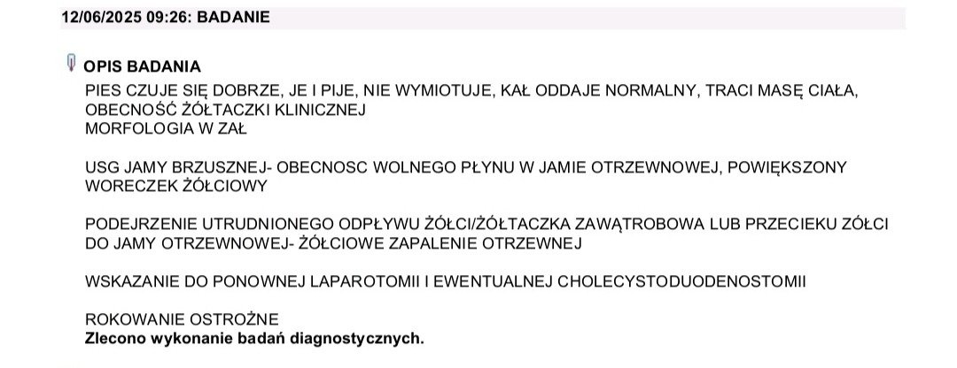 EPTyP8O2rBQqXCeZ.jpg